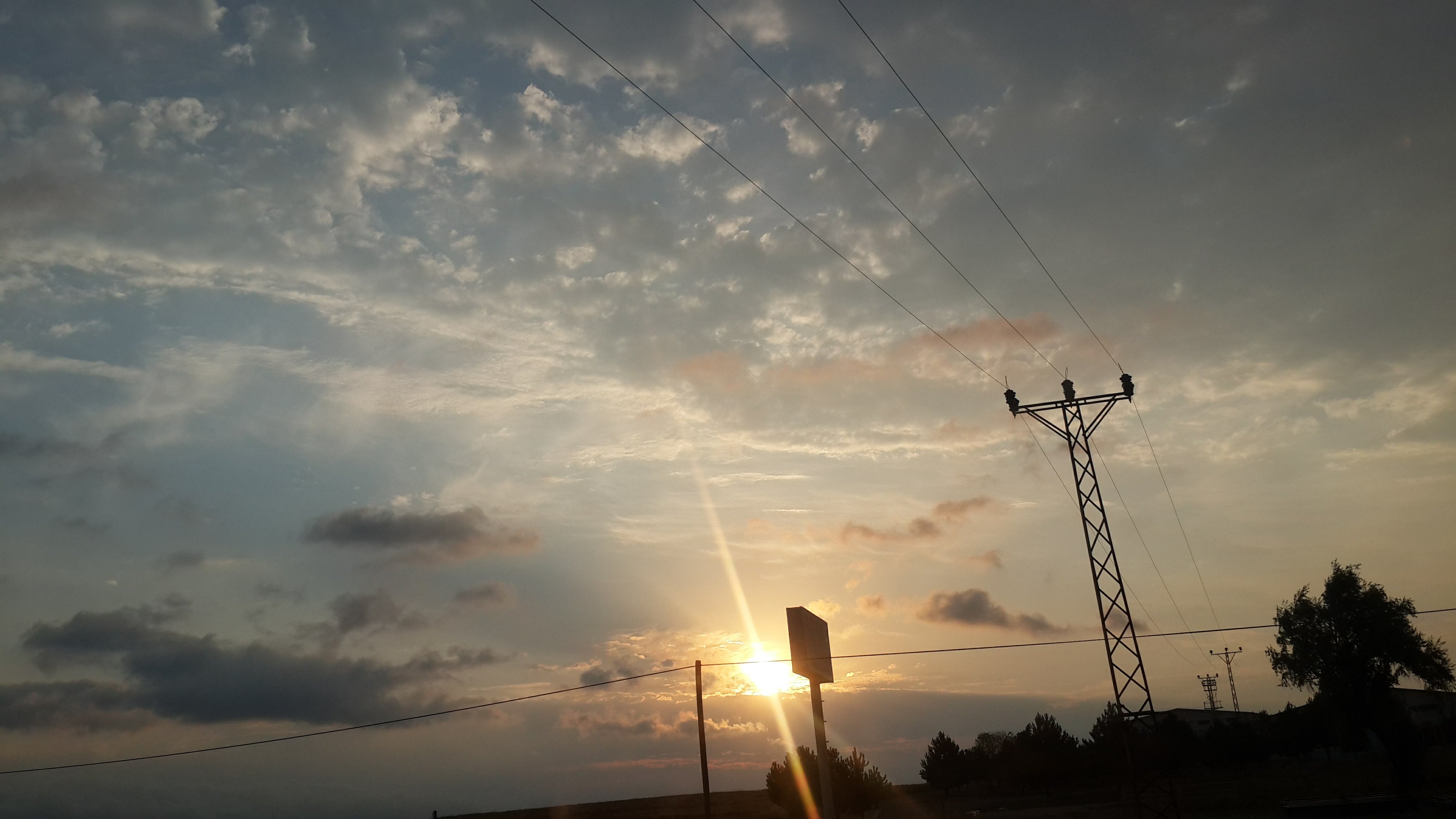20170716_060116.jpg