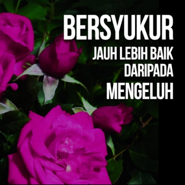 950+ Gambar Kata Motivasi Bersyukur Gratis Terbaru