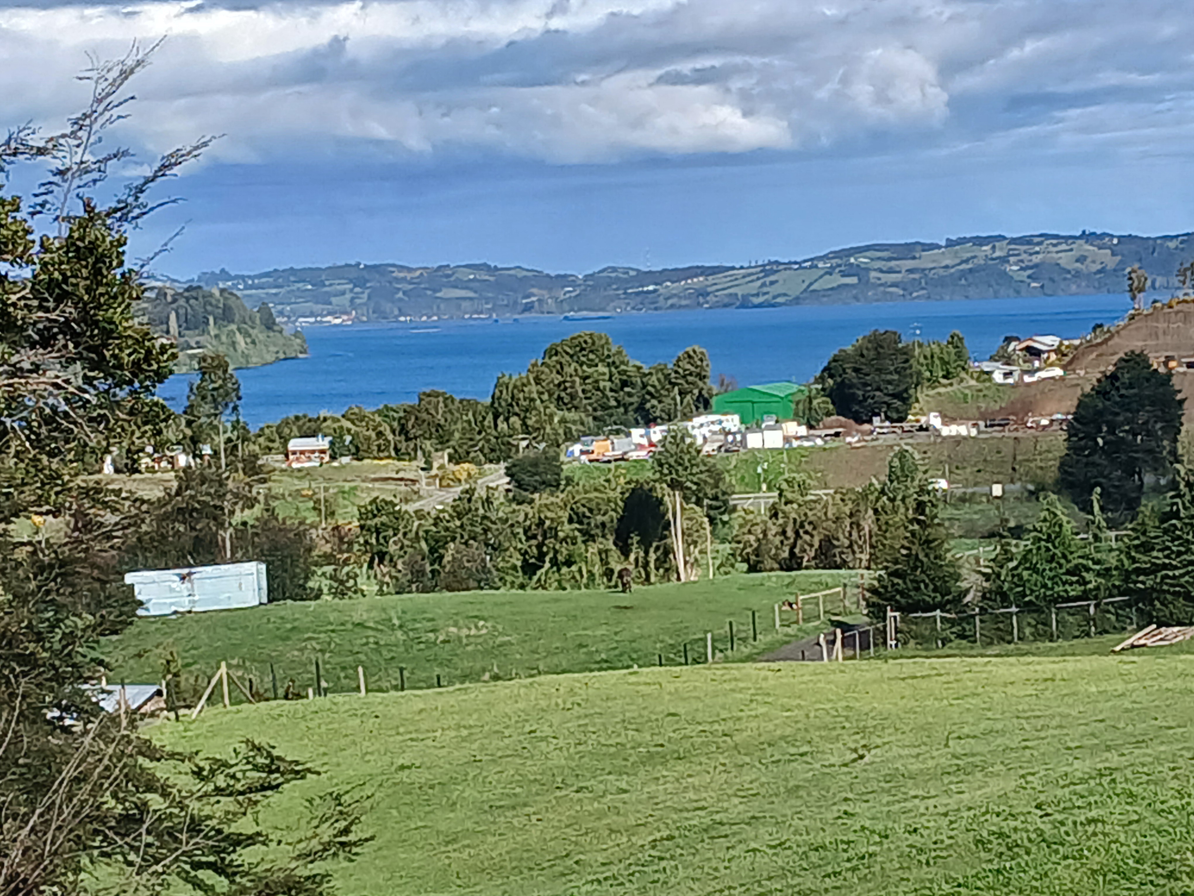 20250921_170216.jpg