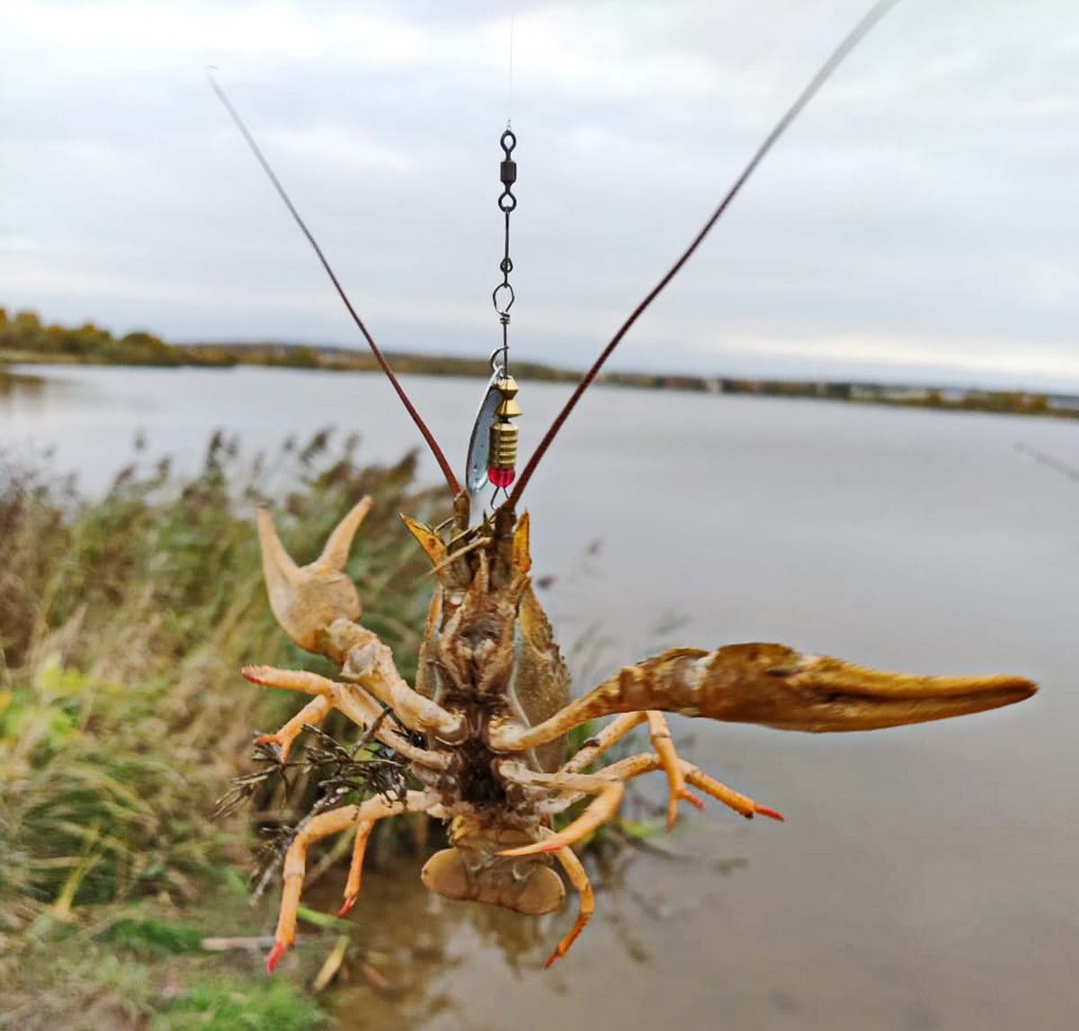 IMG-20191002-WA0027.jpg