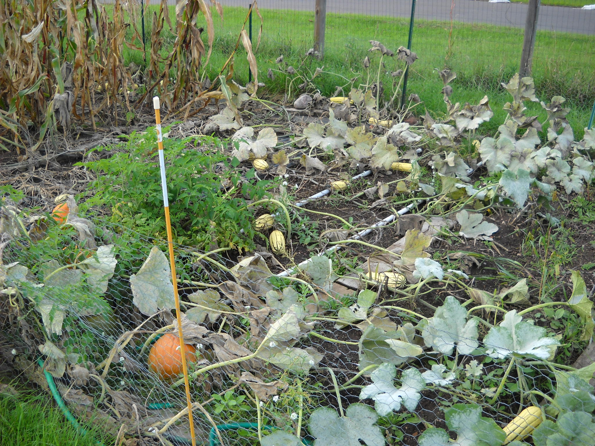 DSCN2222.JPG