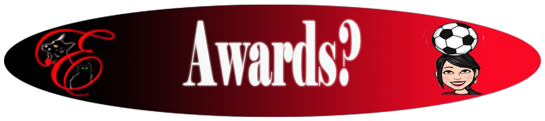 13 Awards.png