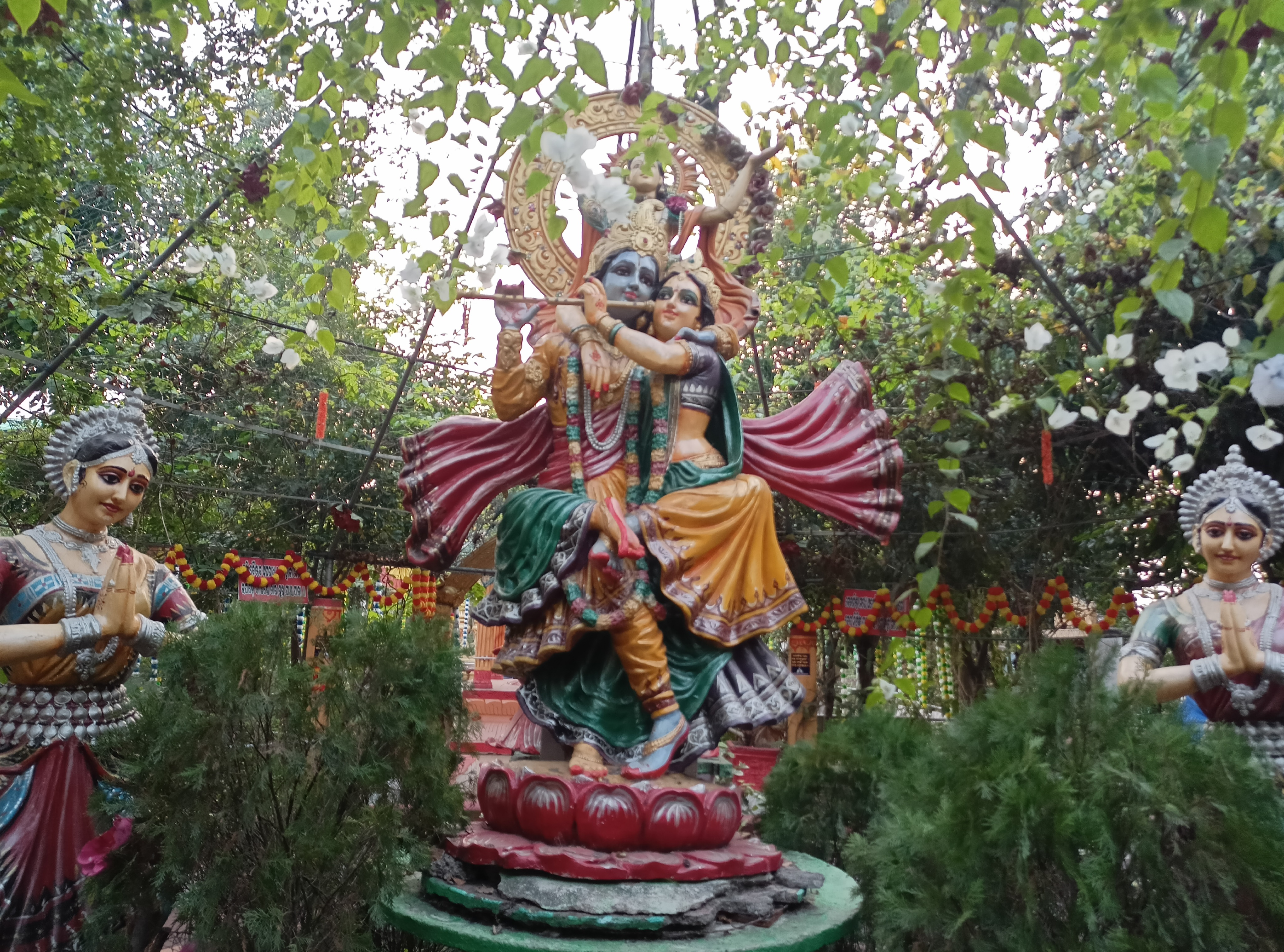 IMG20220311173550.jpg
