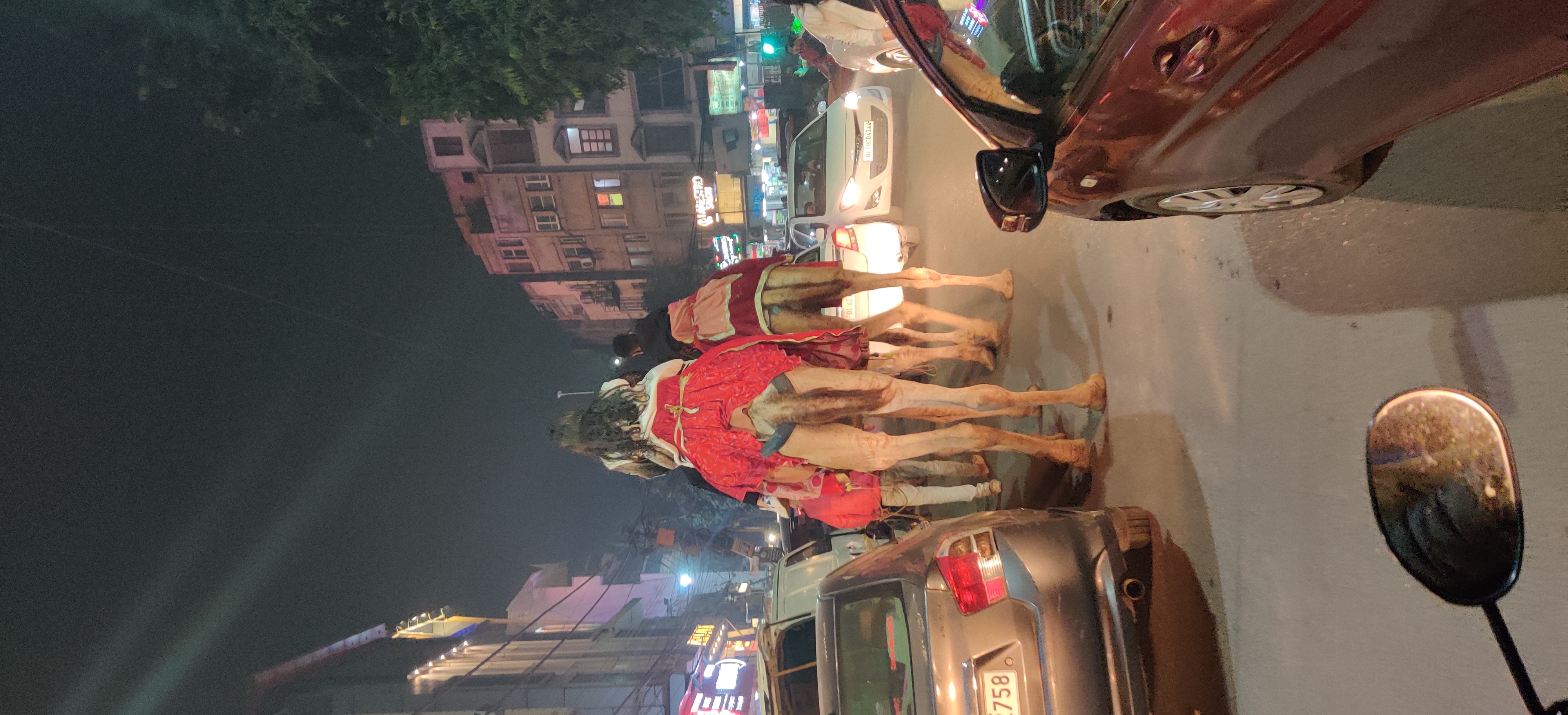 IMG_20211225_183907.jpg