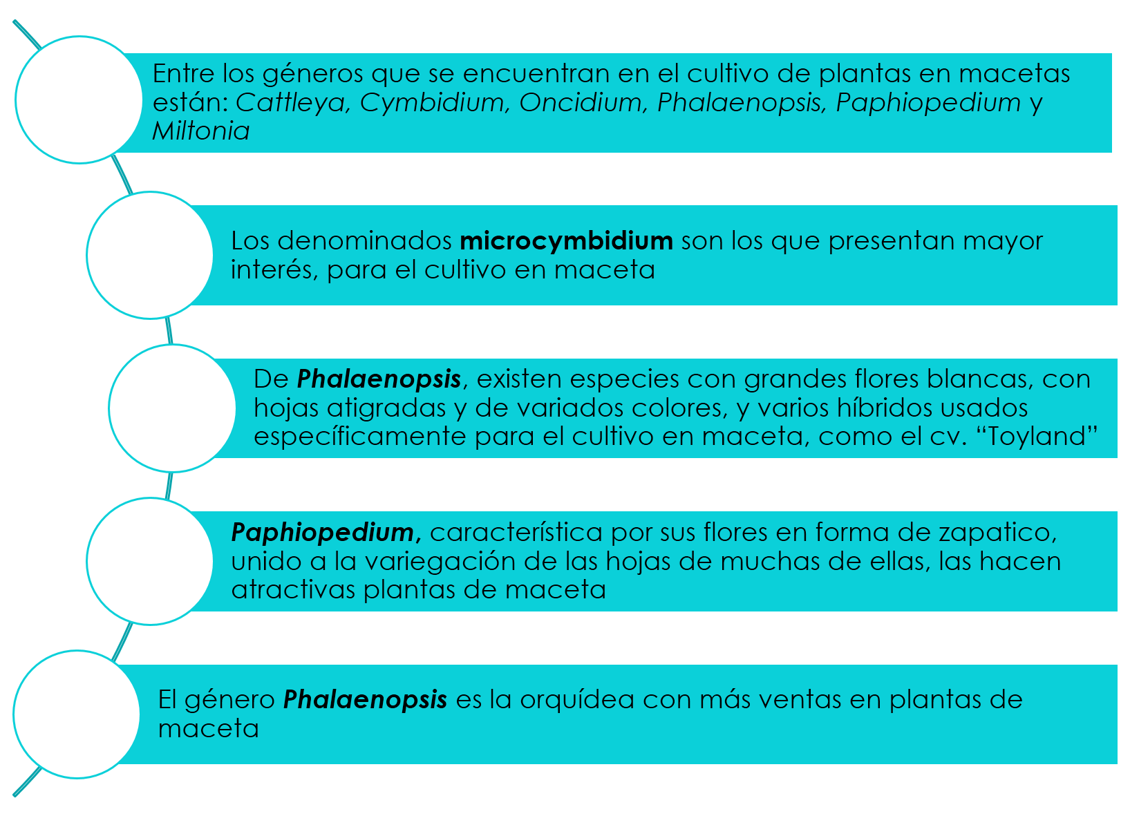 El Mundo De Las Orquideas Parte Ii Steemit