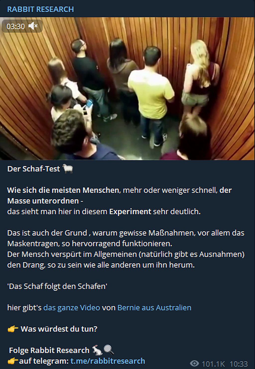 Der Schaf-Test.jpg