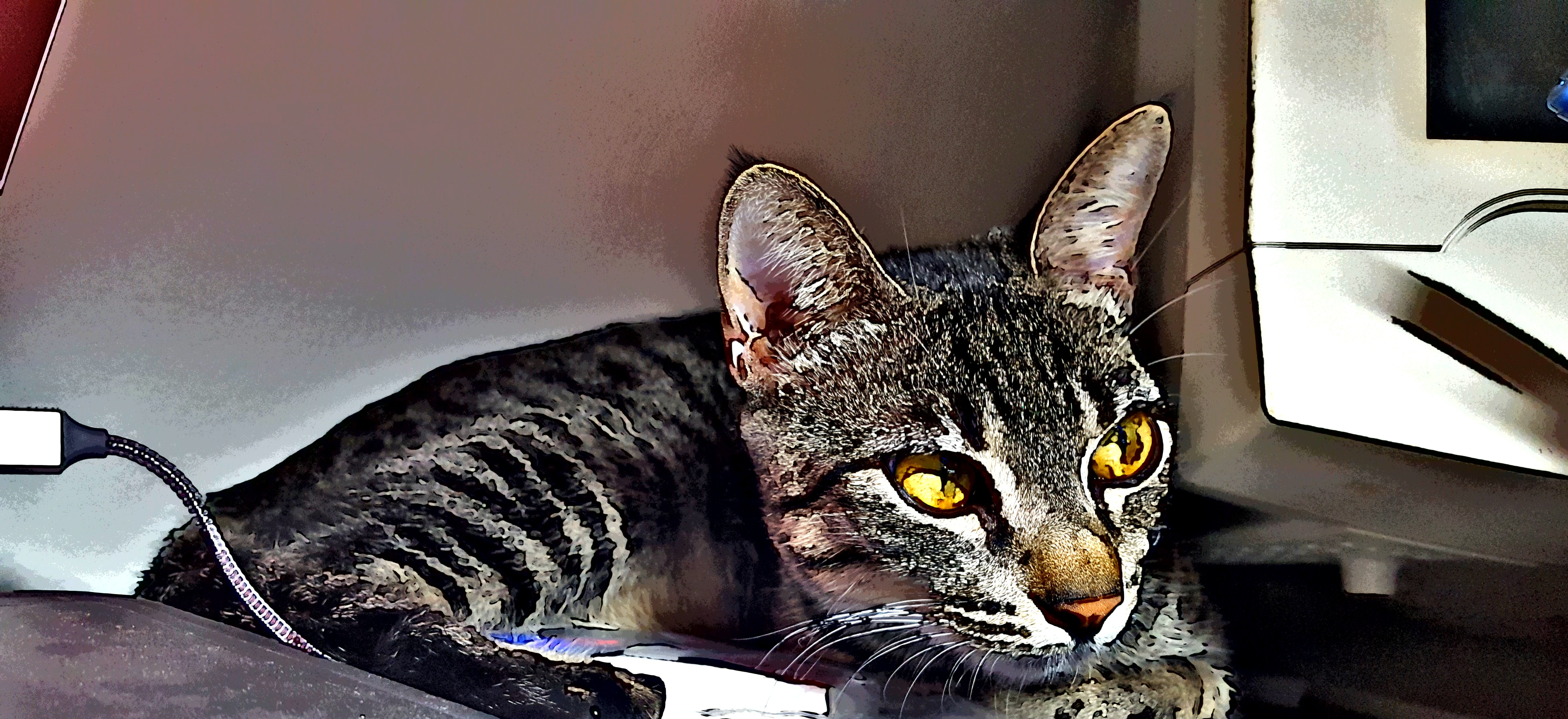 20190112_220347.jpg