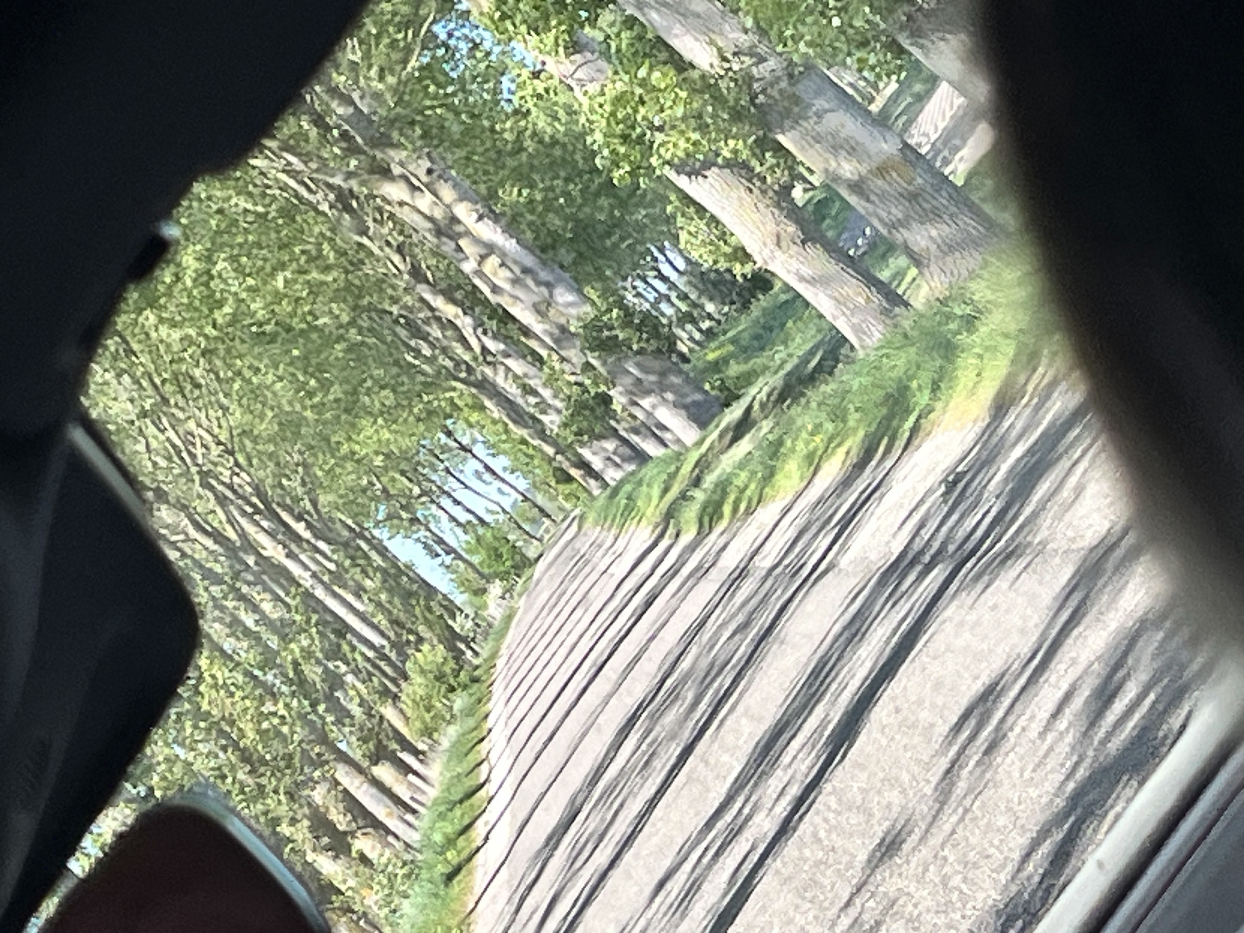 IMG_2539.jpeg