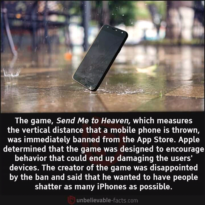 FB_IMG_16394555988738327.jpg