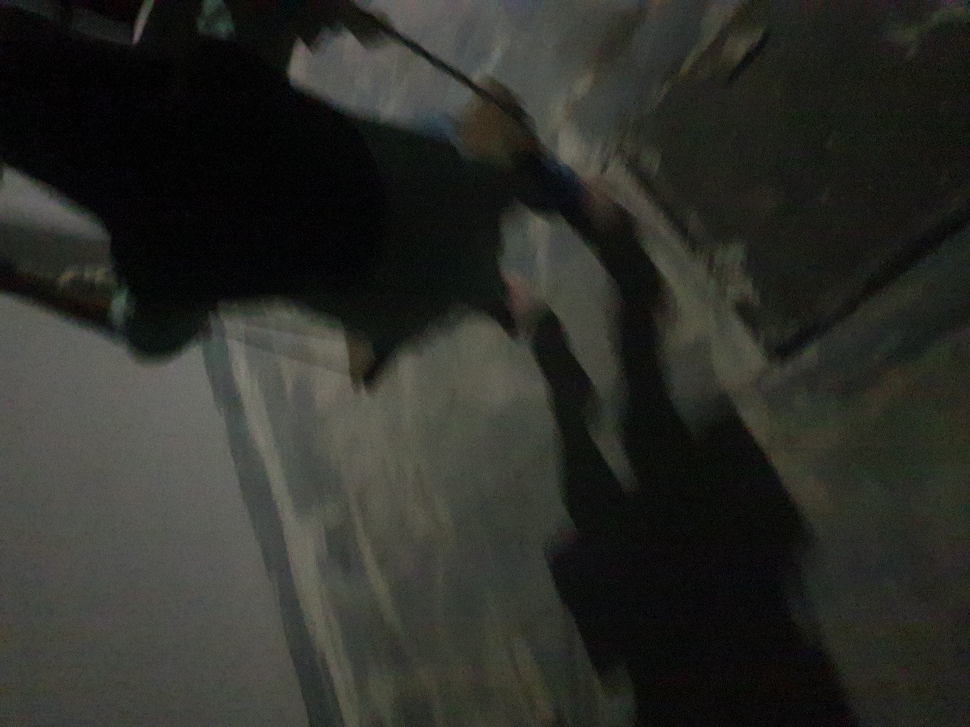 20260606_195752.jpg