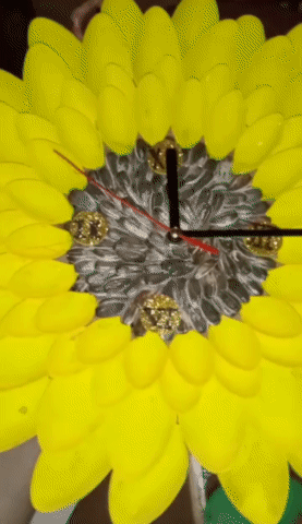 b5635f03-1a1c-4d01-b1b6-469b24ce4116.gif