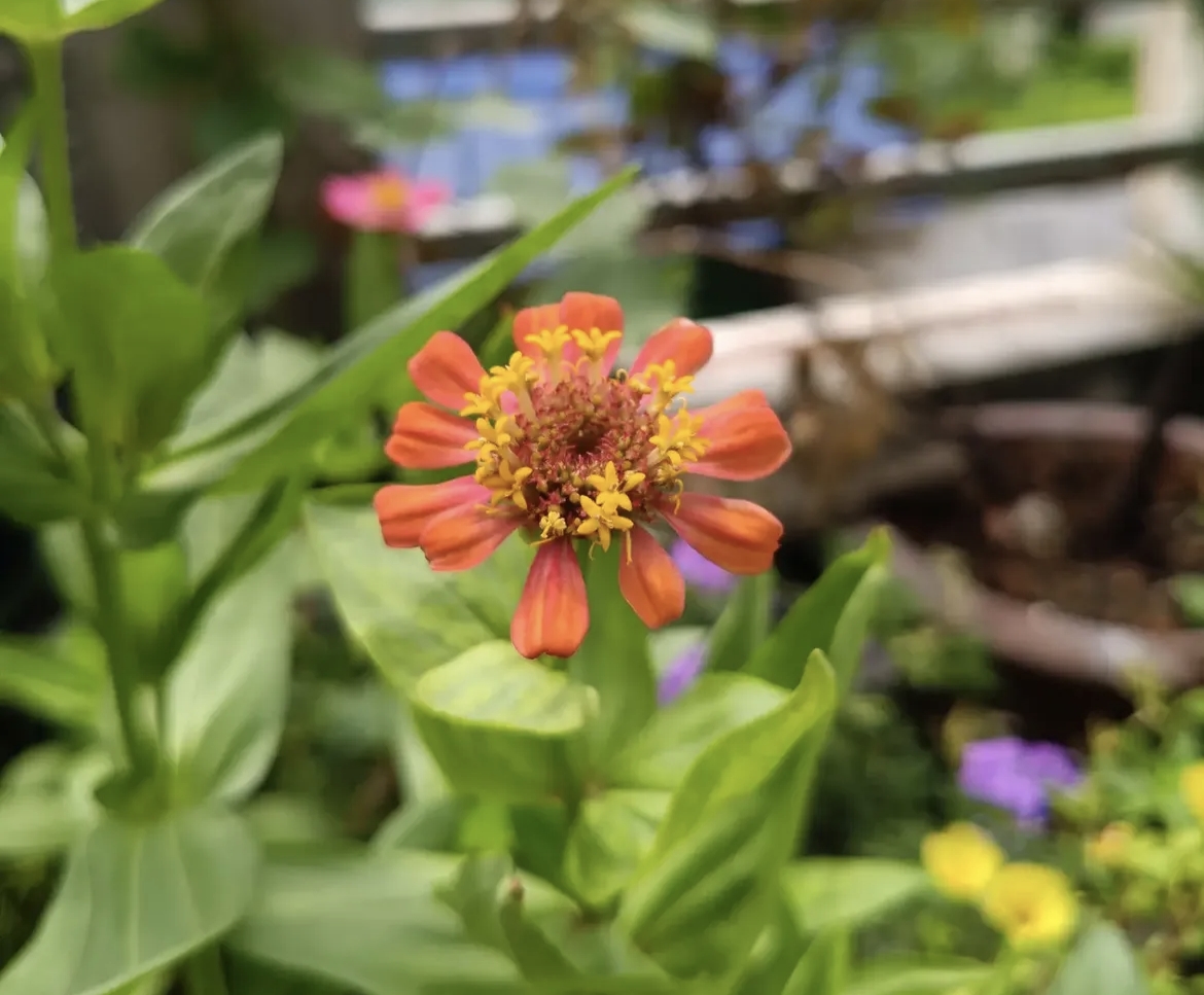 1000051526.jpg