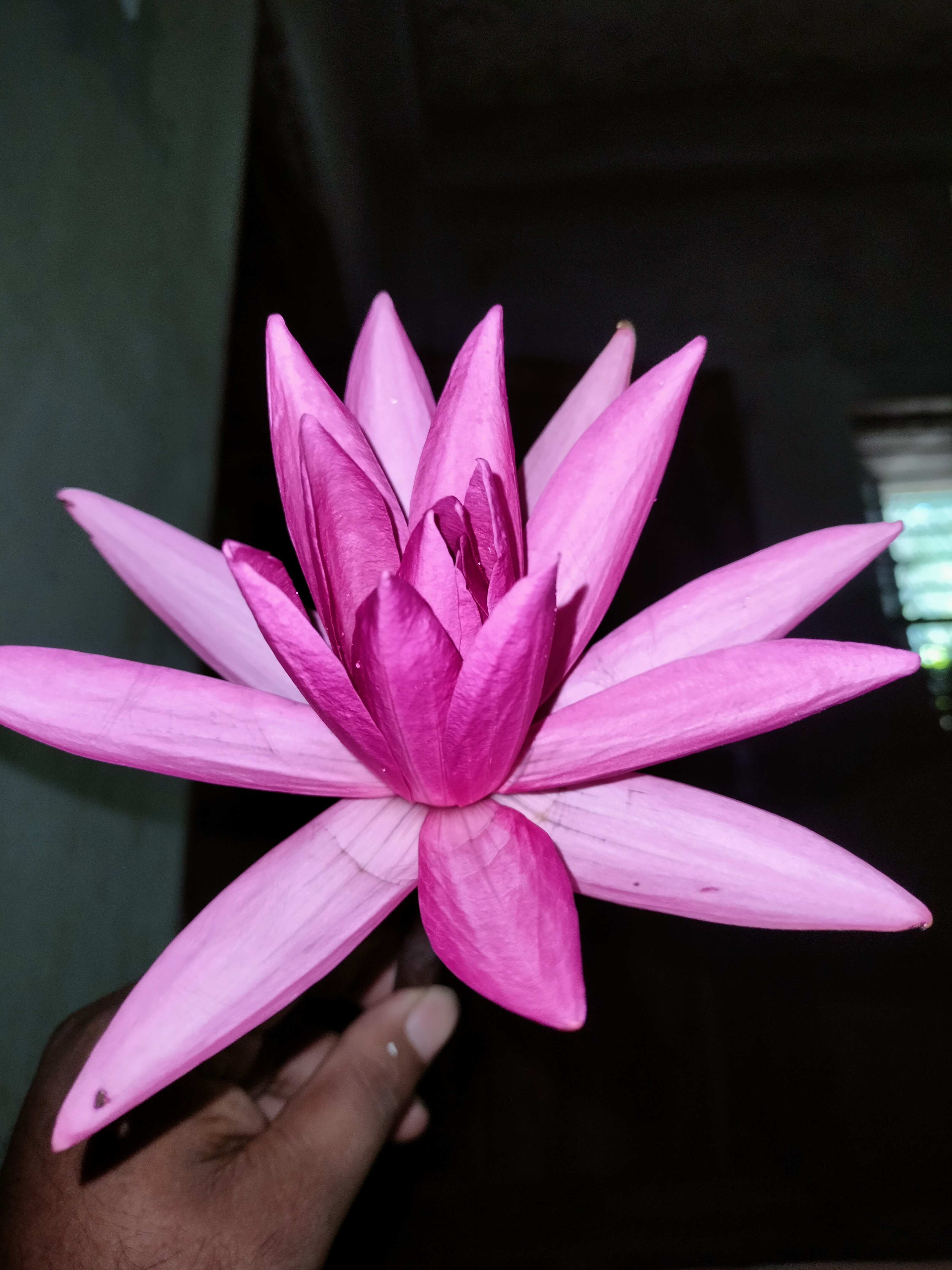 IMG20221014085553.jpg