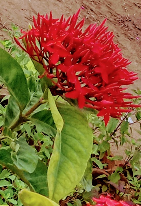IMG20210520093024.jpg