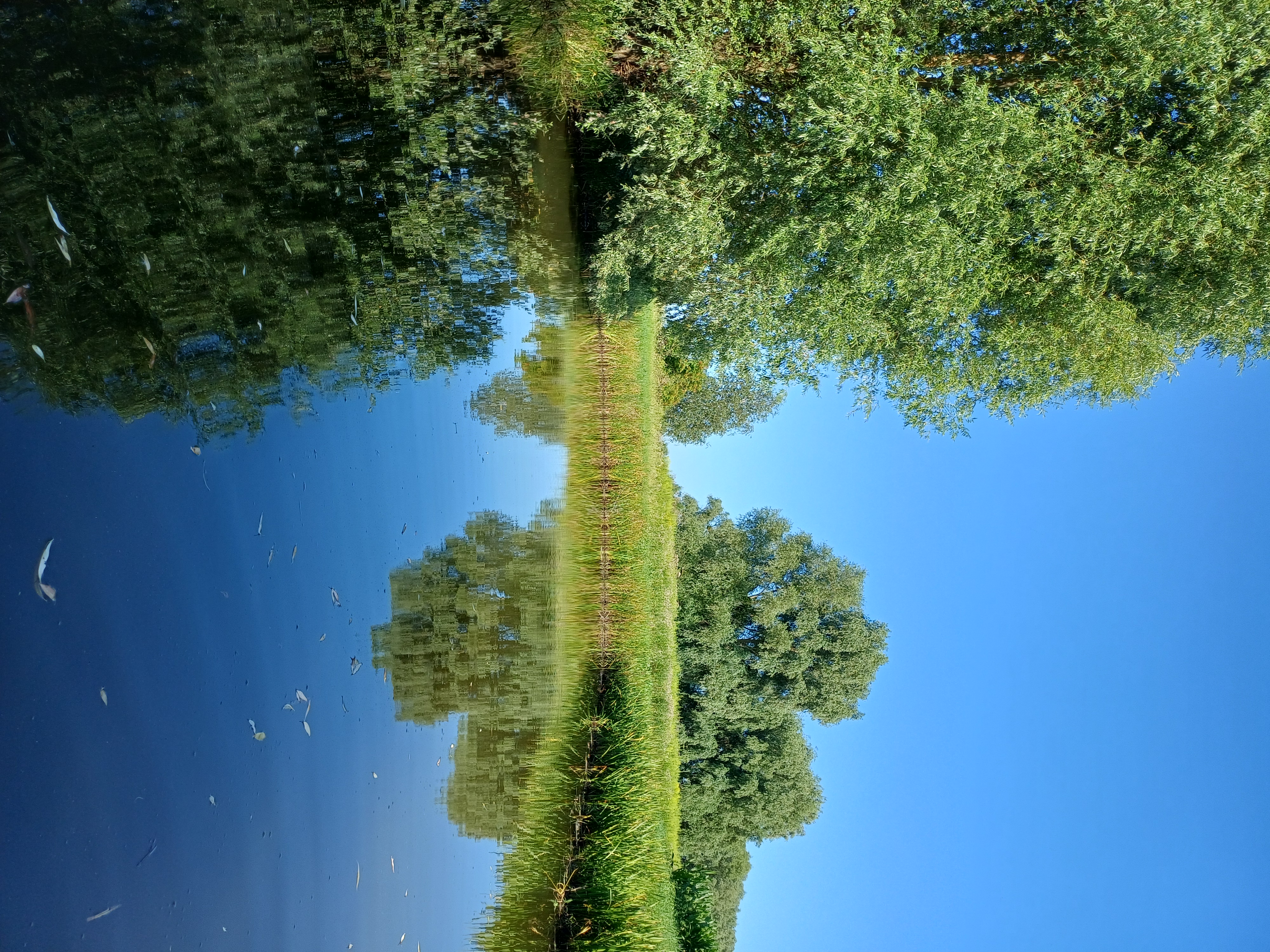 20260718_171007.jpg
