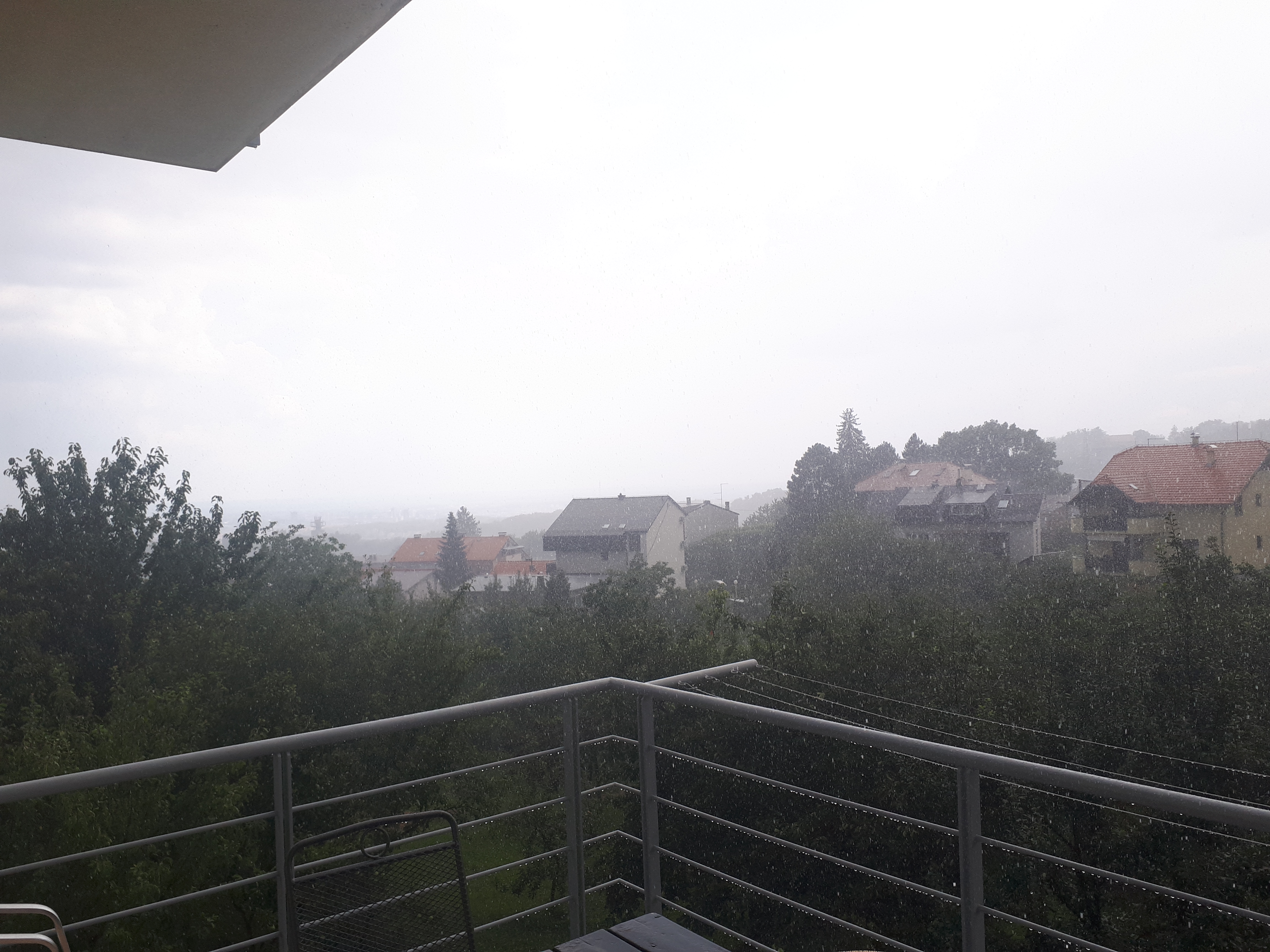 20180726_160111.jpg