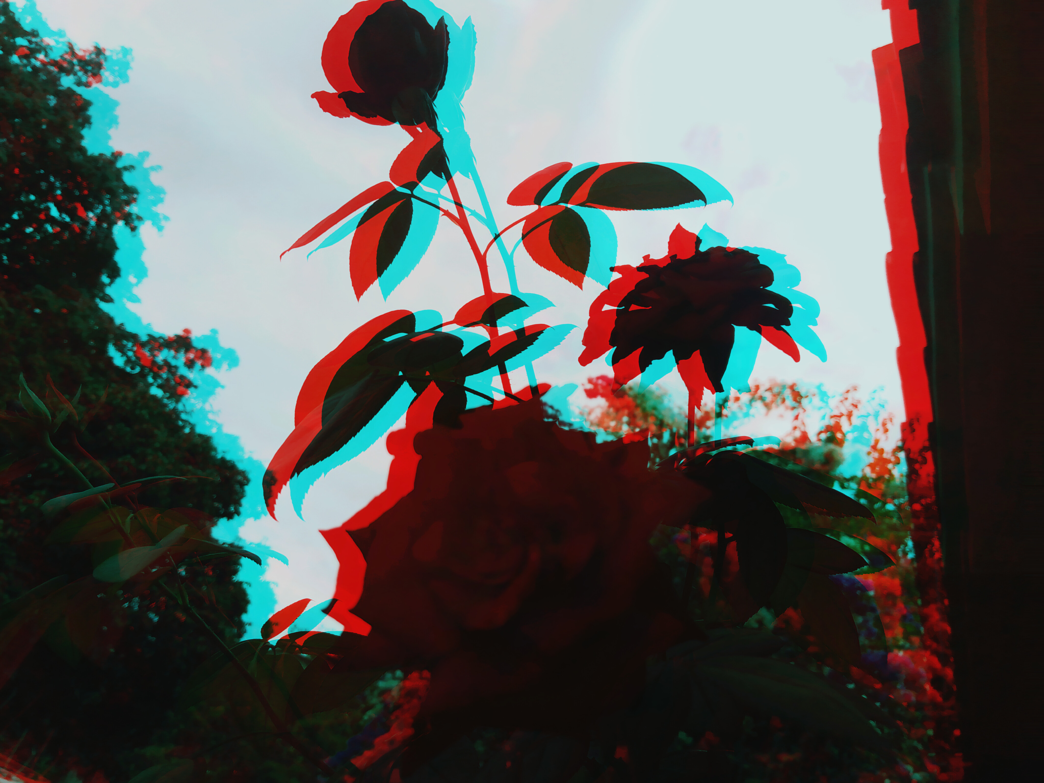 123925.jpg