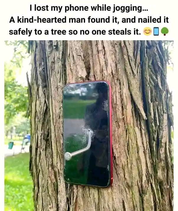 1000008111.jpg