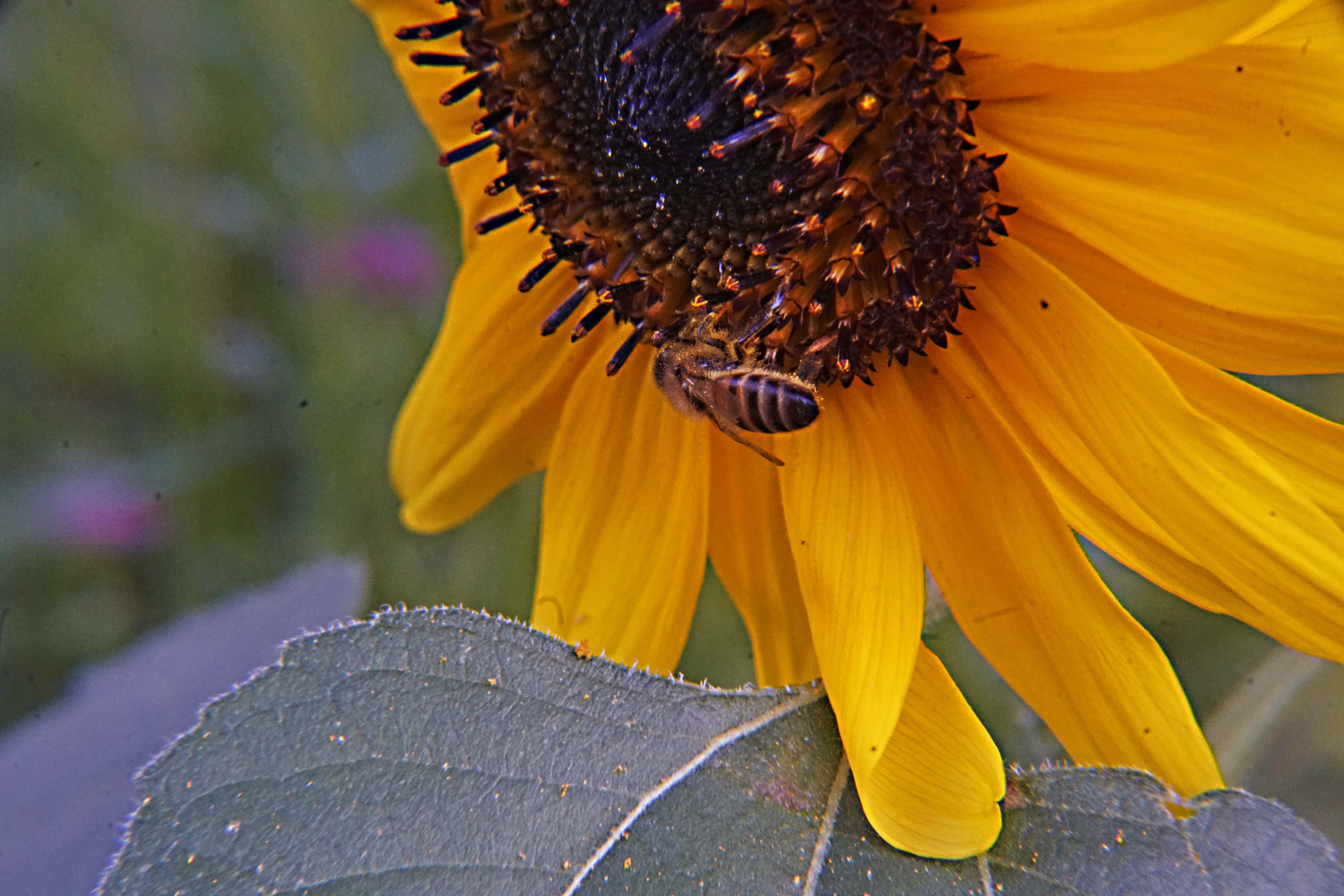 _DSC9883.jpg