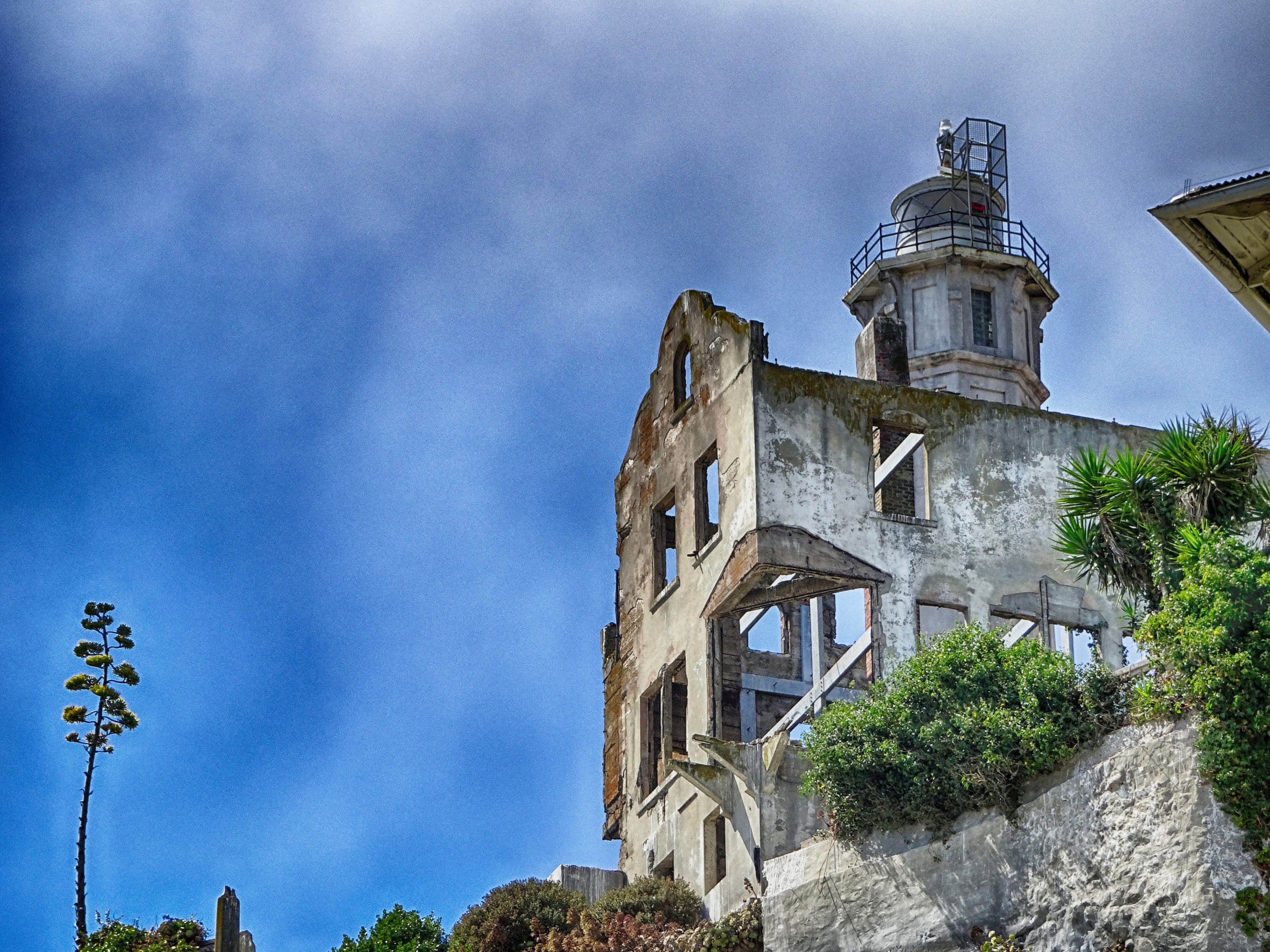 alcatraz (2)_Snapseed.jpg