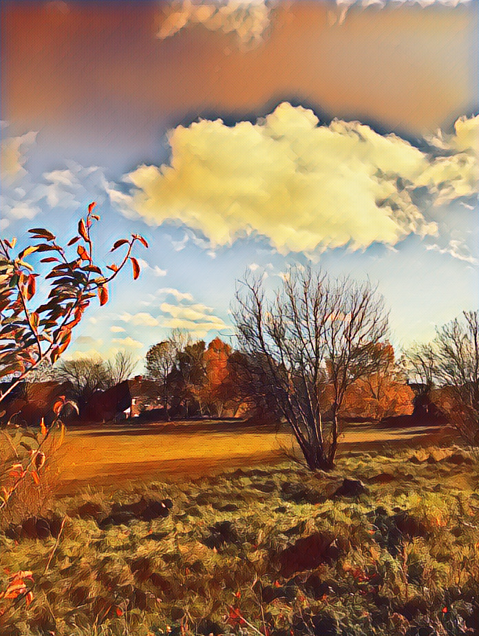 4B4372FA-F6D7-4949-9FCF-17D10E54D92D.JPEG