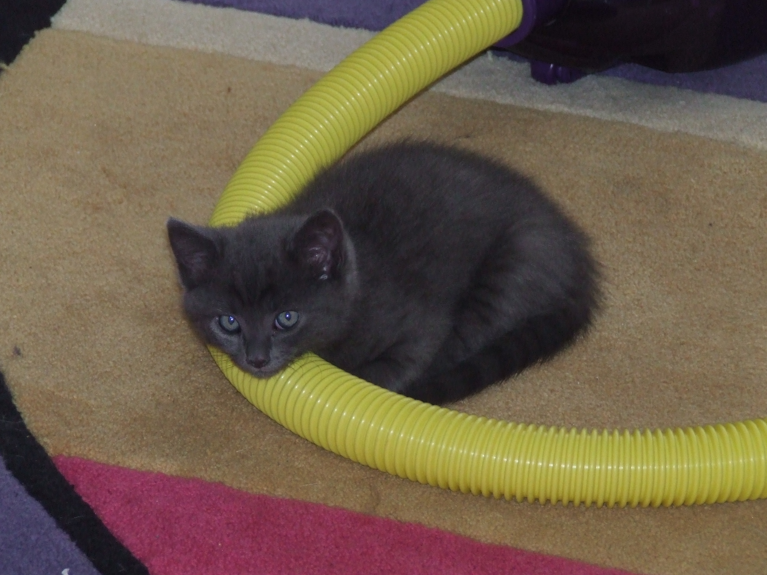 DSCF3651.JPG