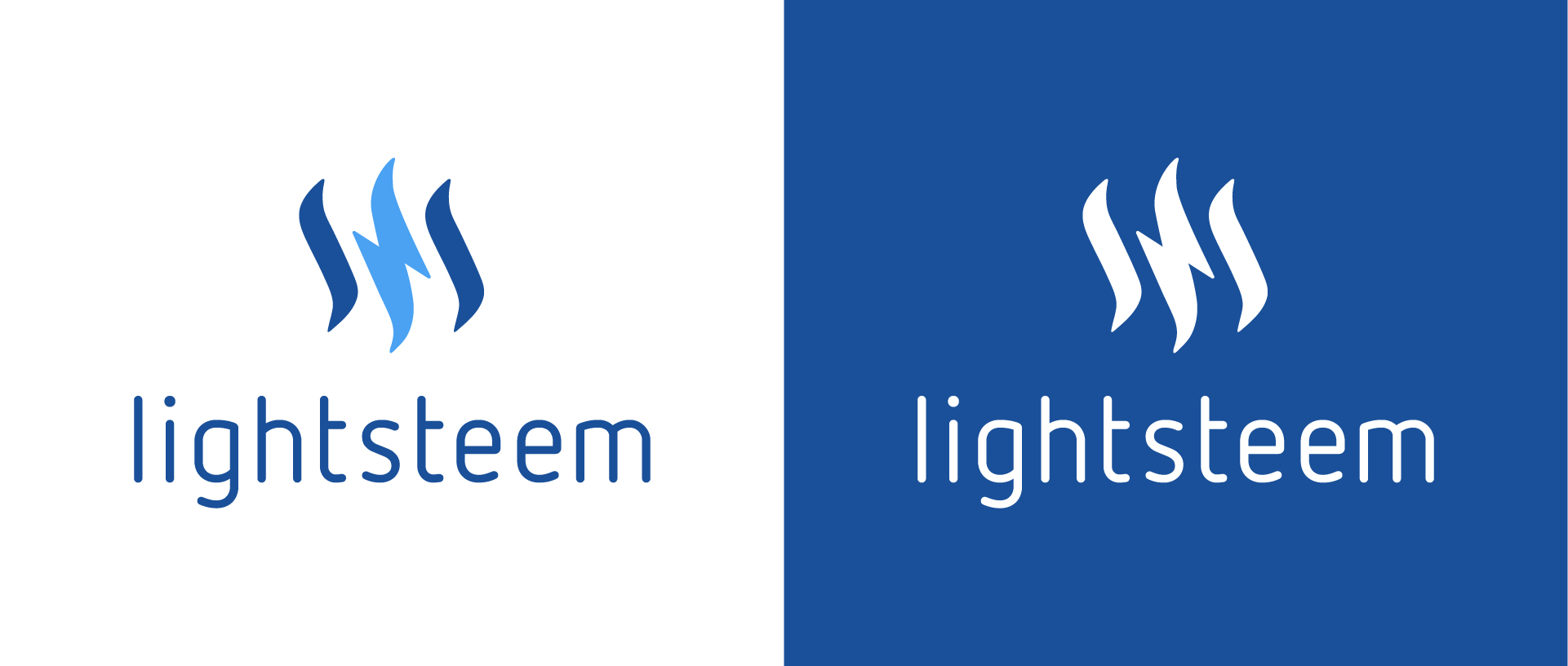 lightsteem_logo_01.jpg