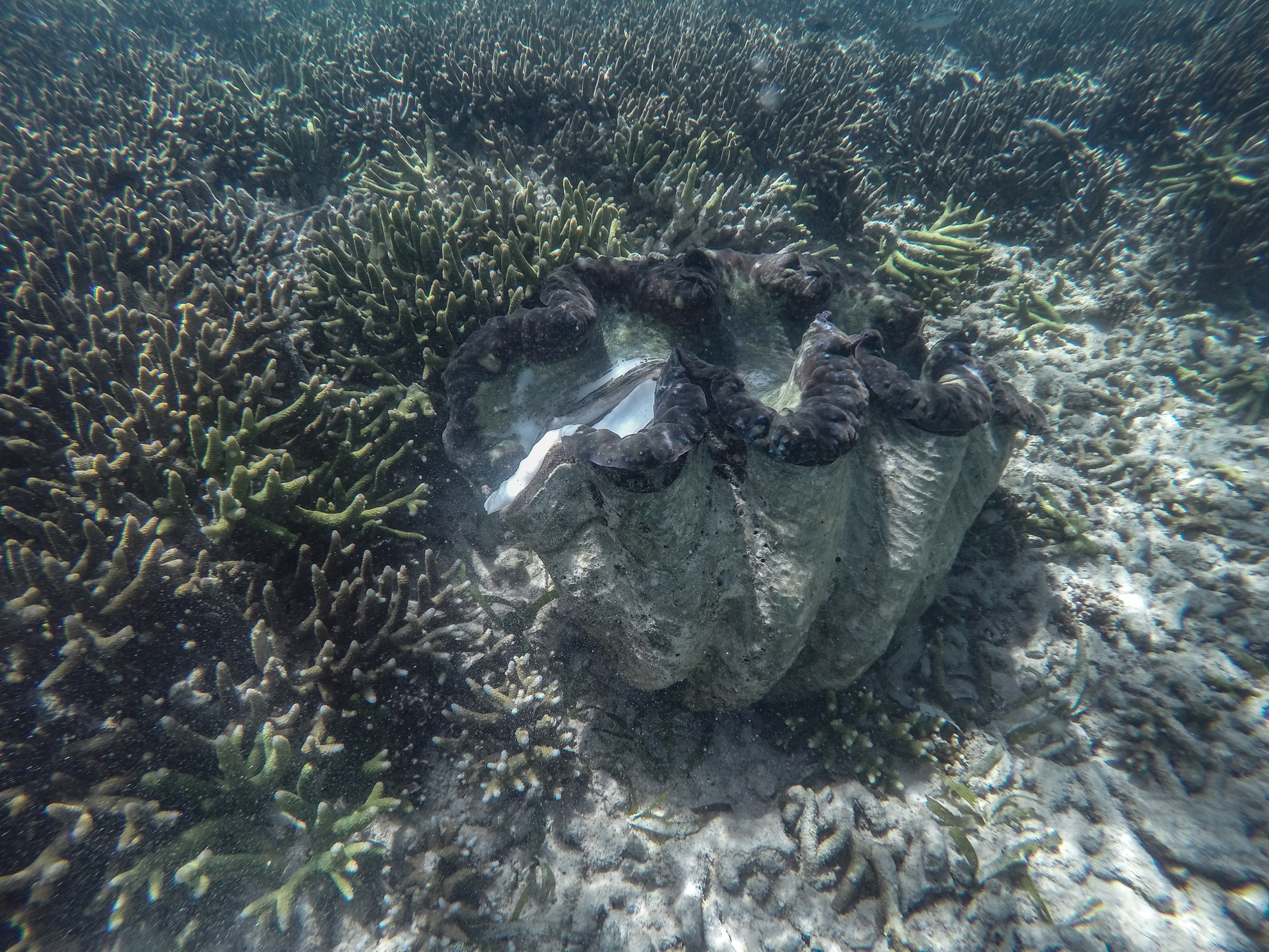 GOPR0931.jpg