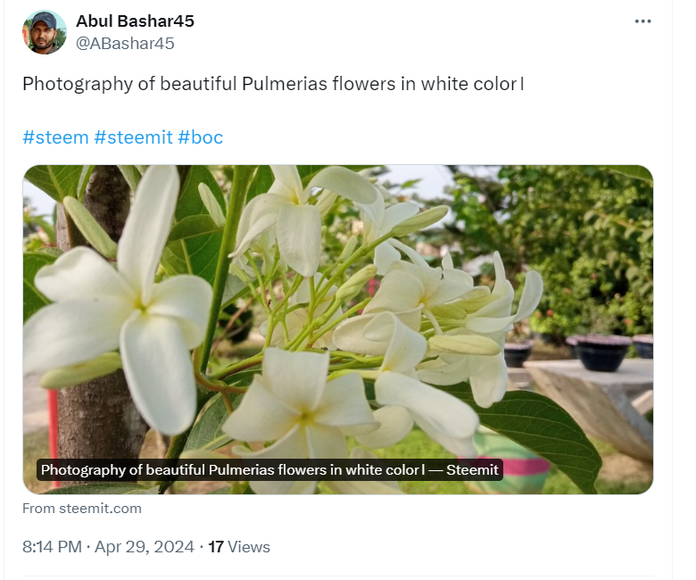 Screenshot 2024-05-02 154827.png