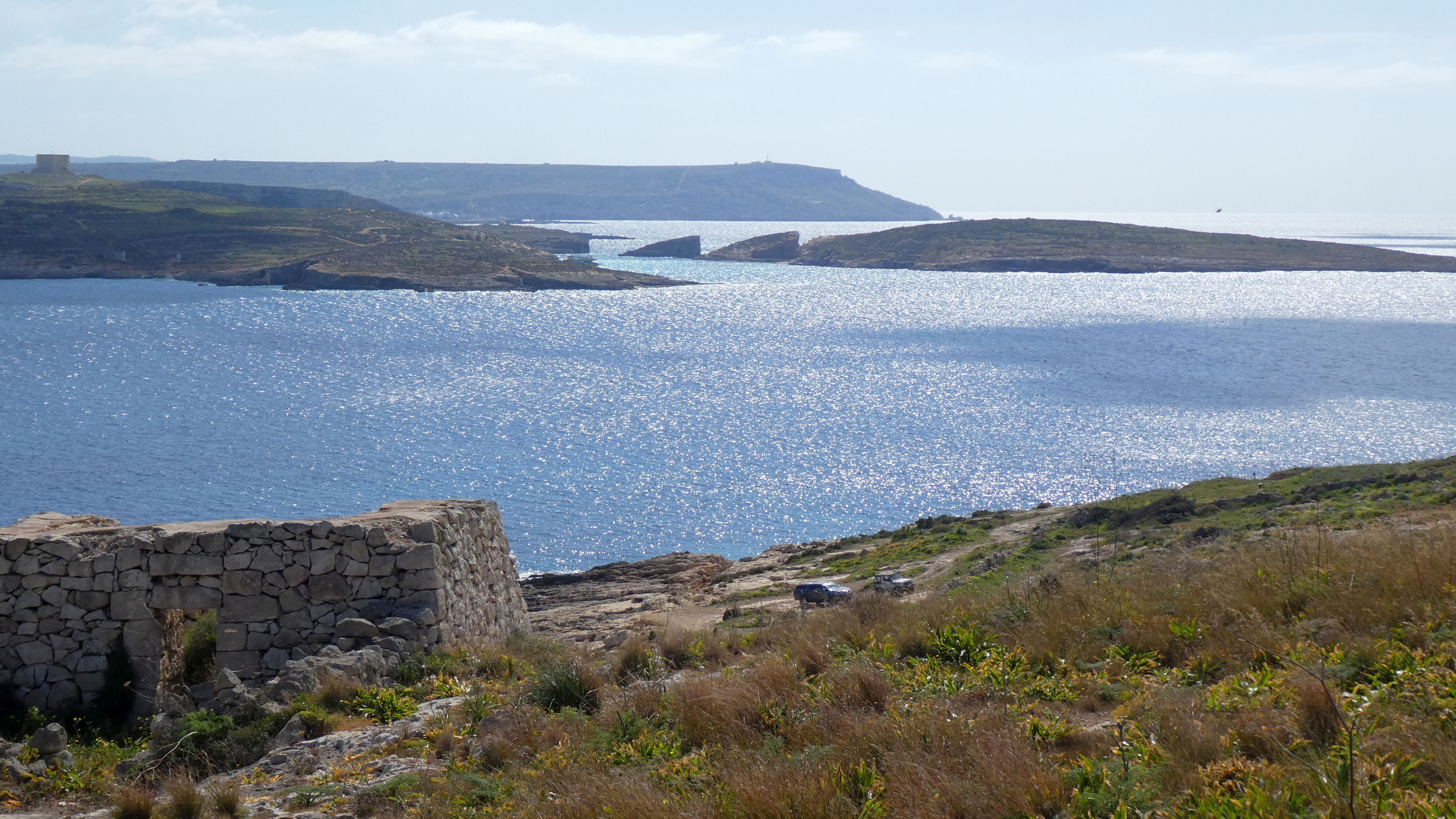 comino close up.jpg