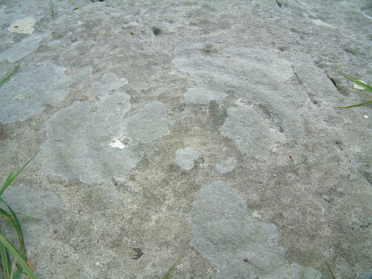 amedsp-016.JPG
