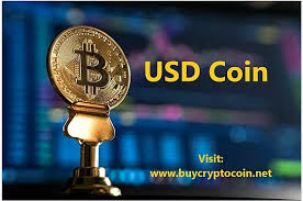 USD COIN 3.jpeg