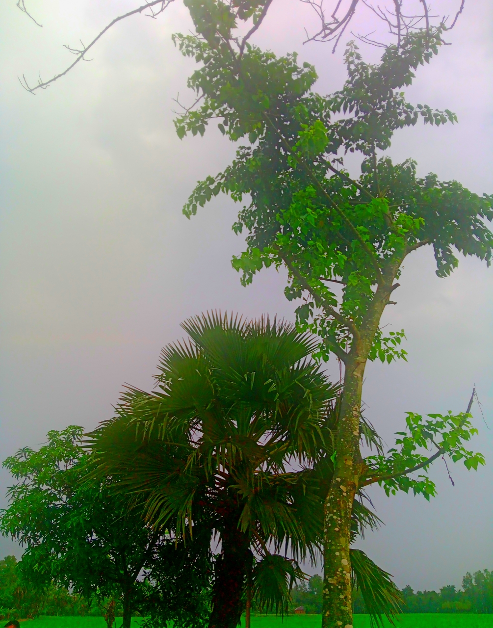 20210927_175006.jpg