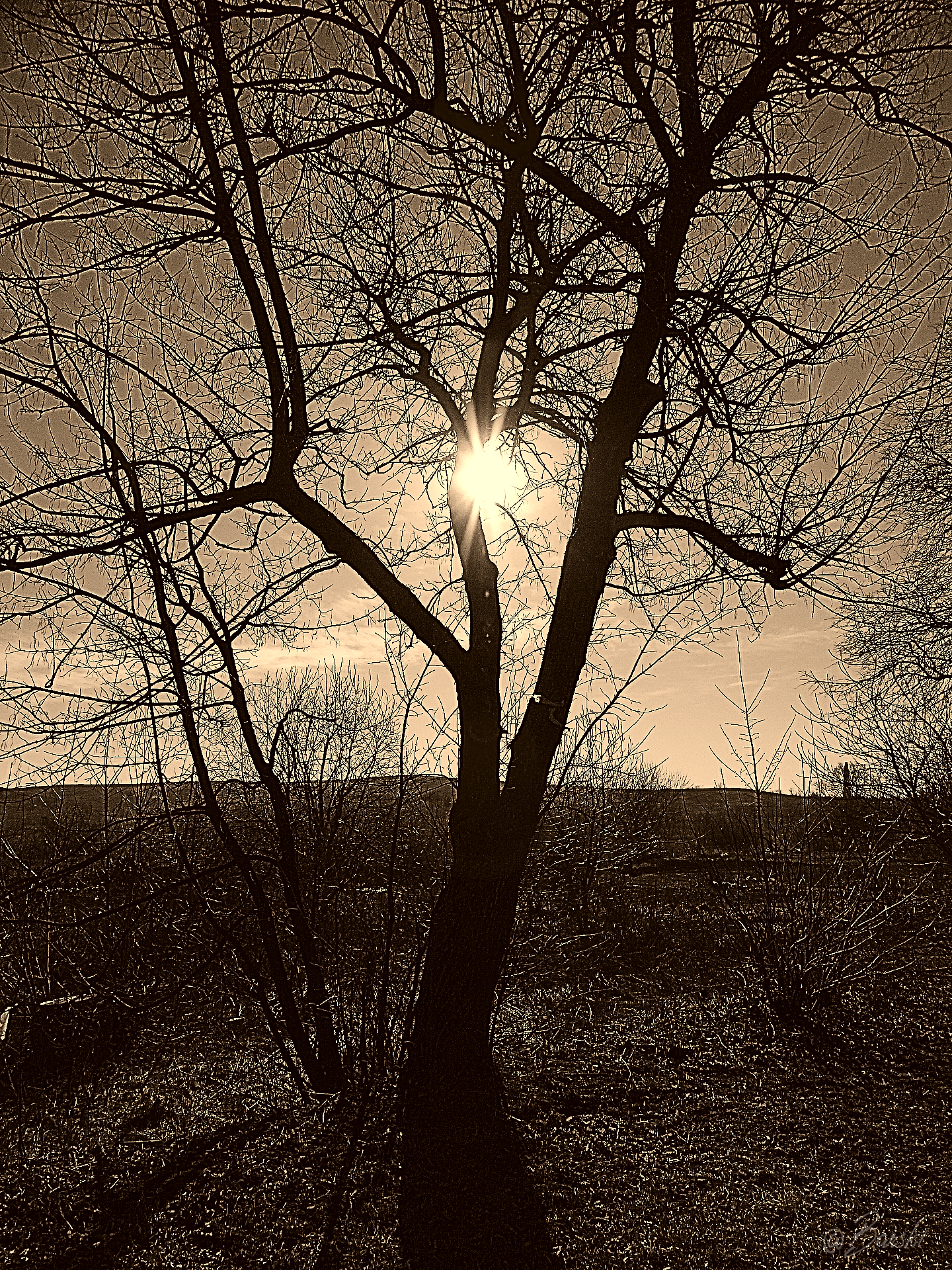 DSC00365.png
