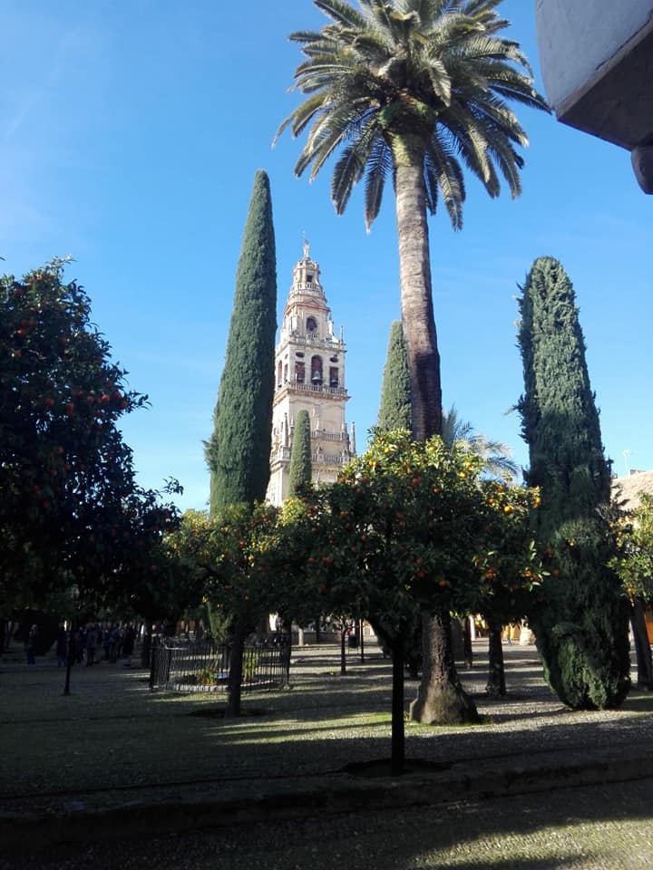 Catedral de cordoba.jpg