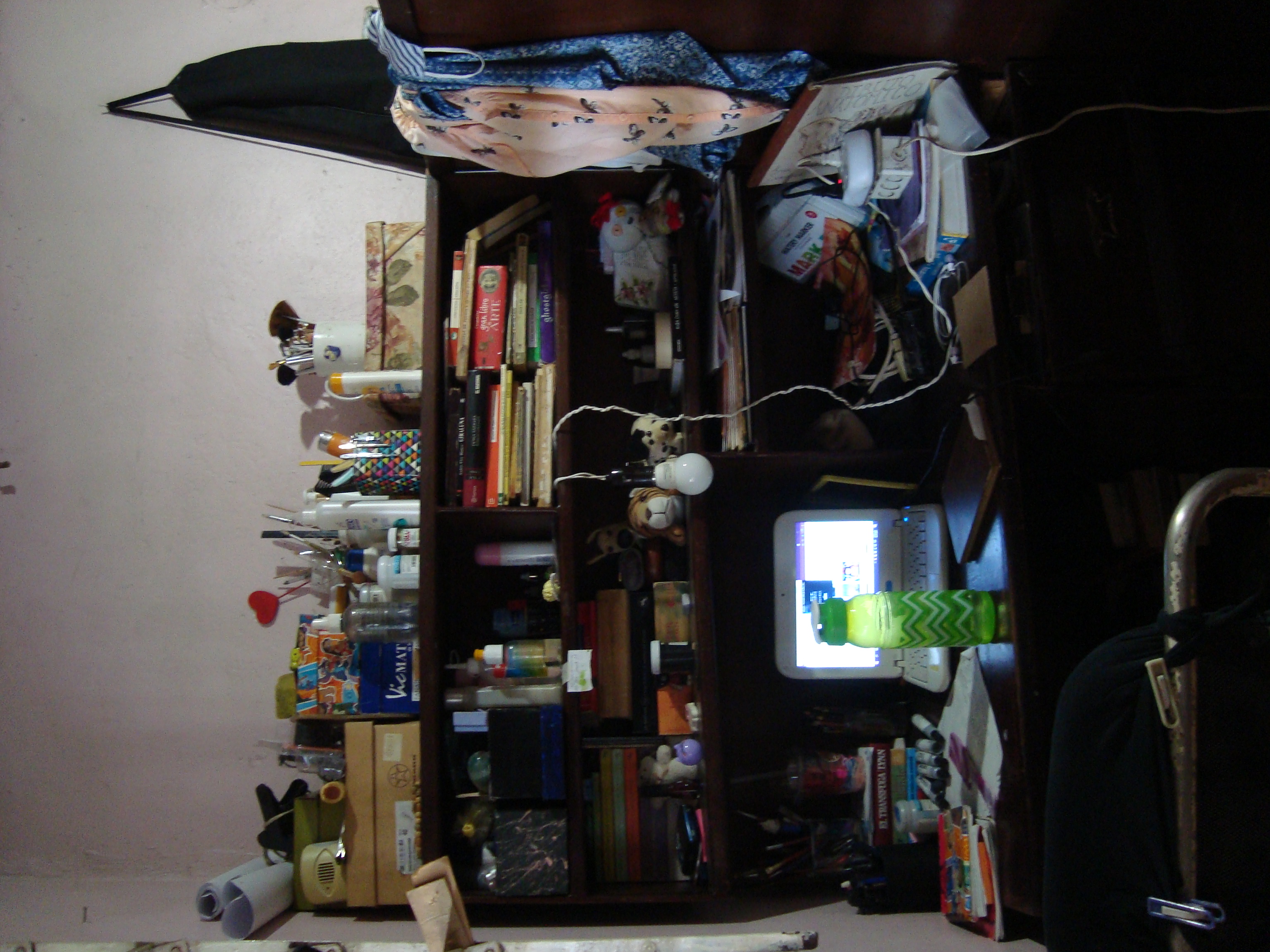 DSC09615.JPG