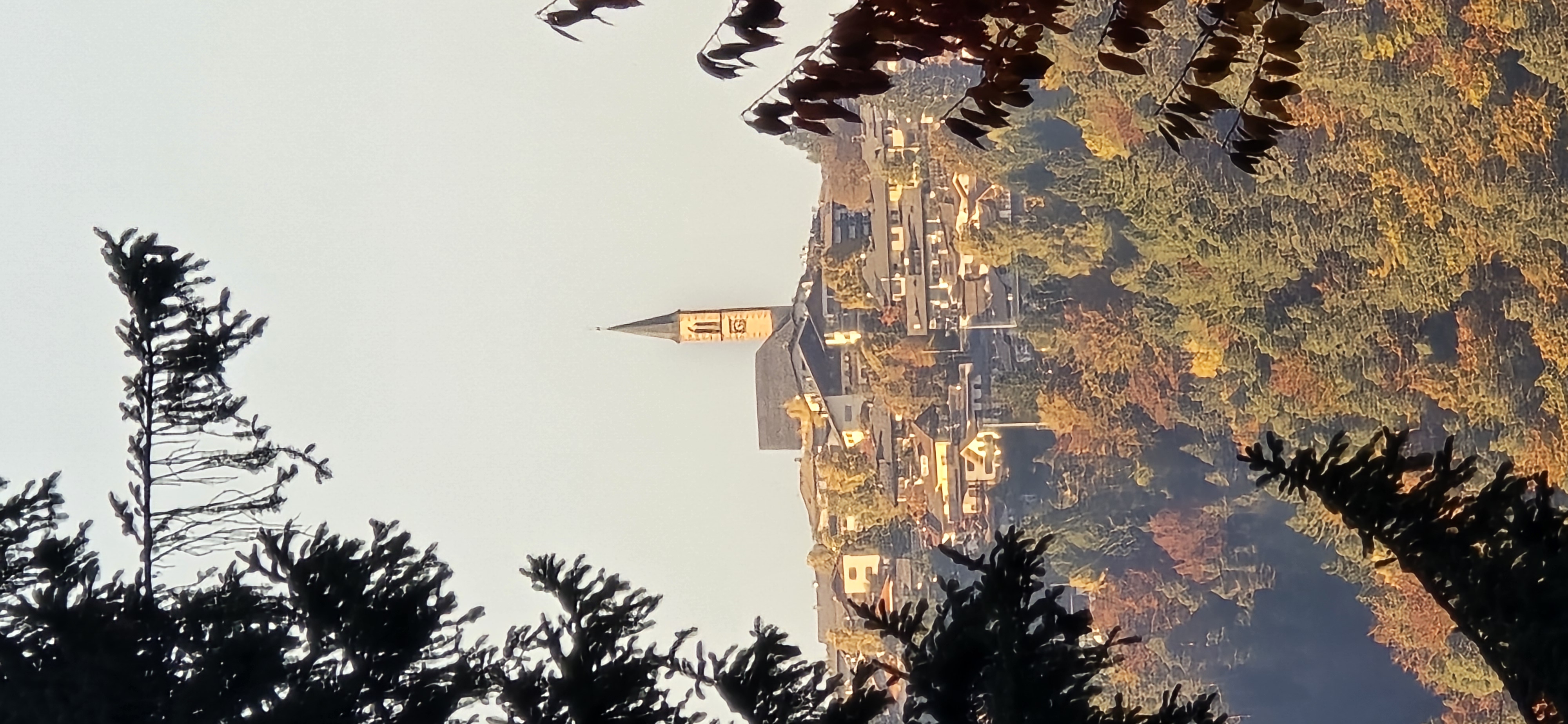 20251014_171926.jpg