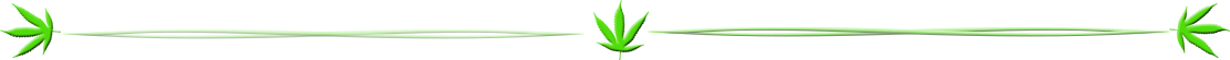 Canna-page-divider2.png