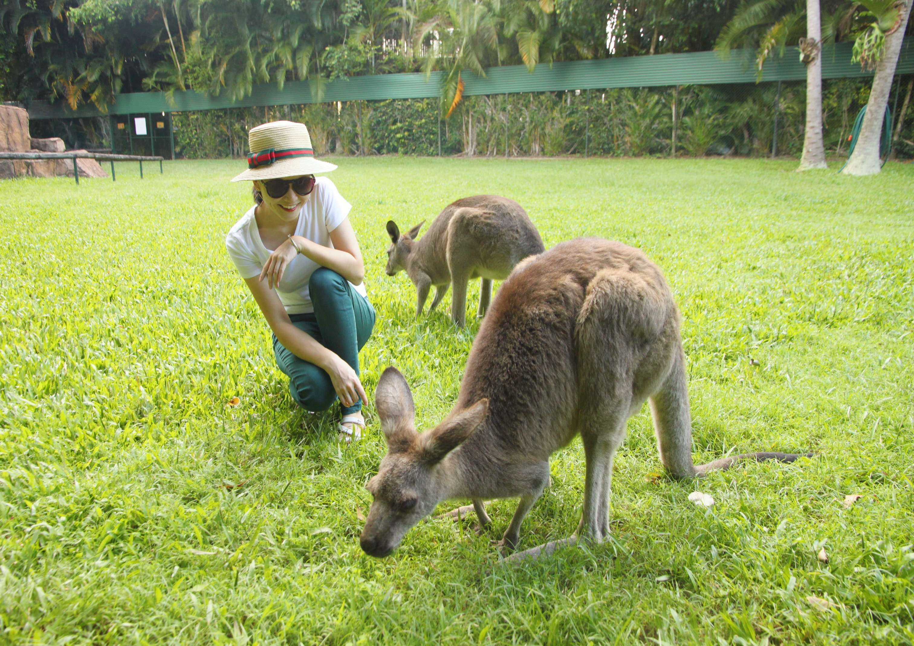 #128 Visit Australia Zoo with Me (1)  “鳄鱼猎人之家” - 澳洲动物园（一）