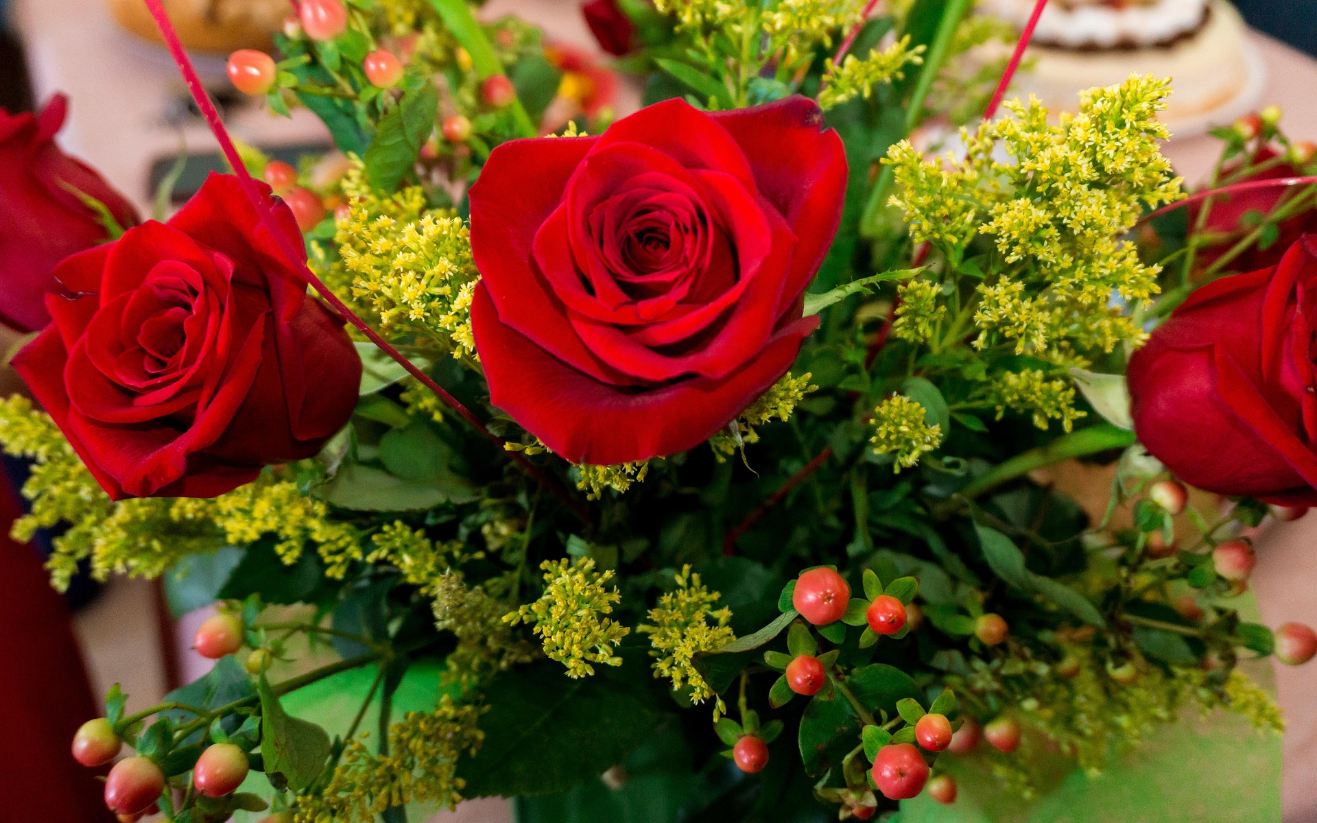 d_fenix249-flore-3611639_1920.jpg