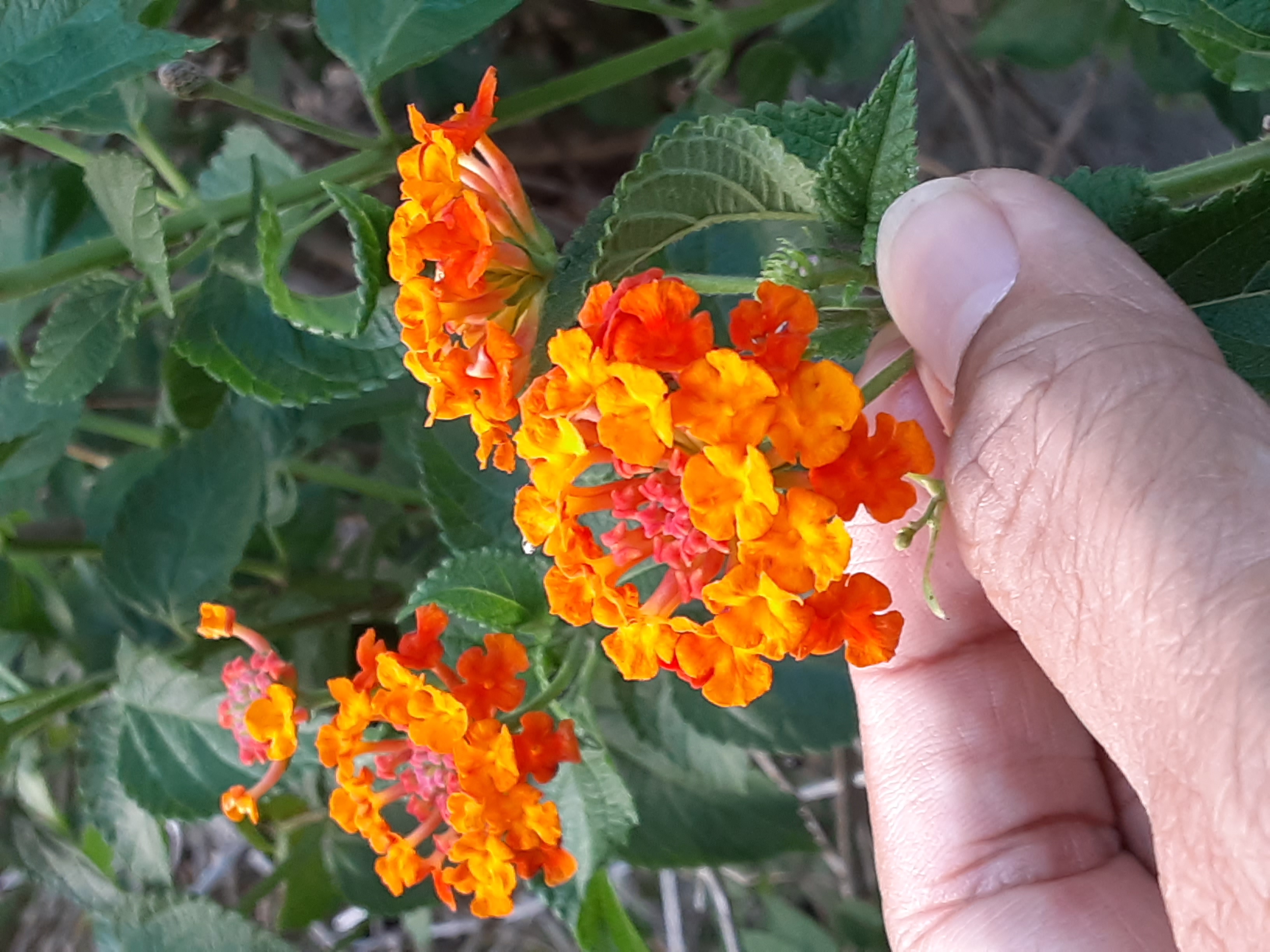 20230819_165732.jpg