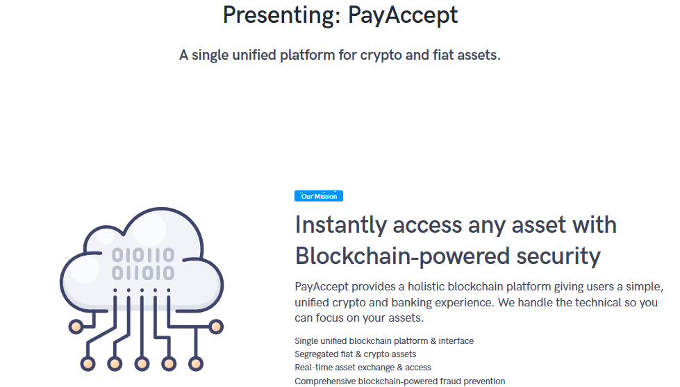Screenshot_2020-07-13 PayAccept - Currency and wallet payments accepted in seconds(5).png
