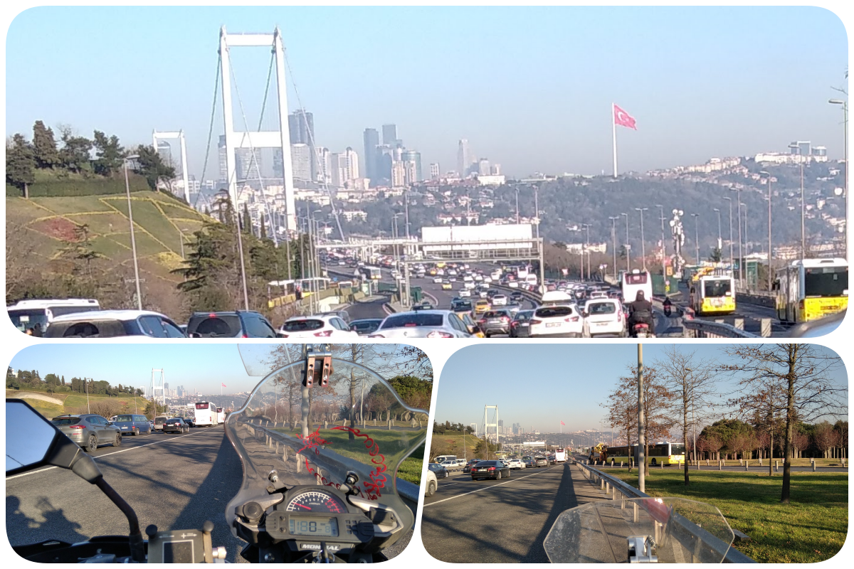 collage3.png