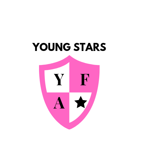 ysfacademy