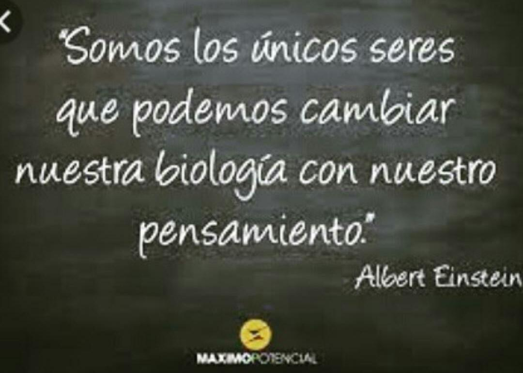 imagen.png