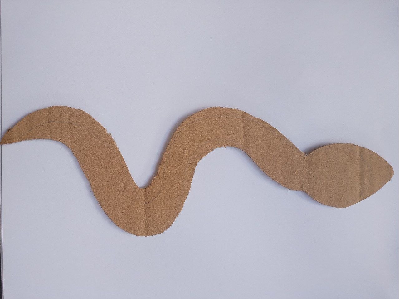 5170475806856252481.jpg