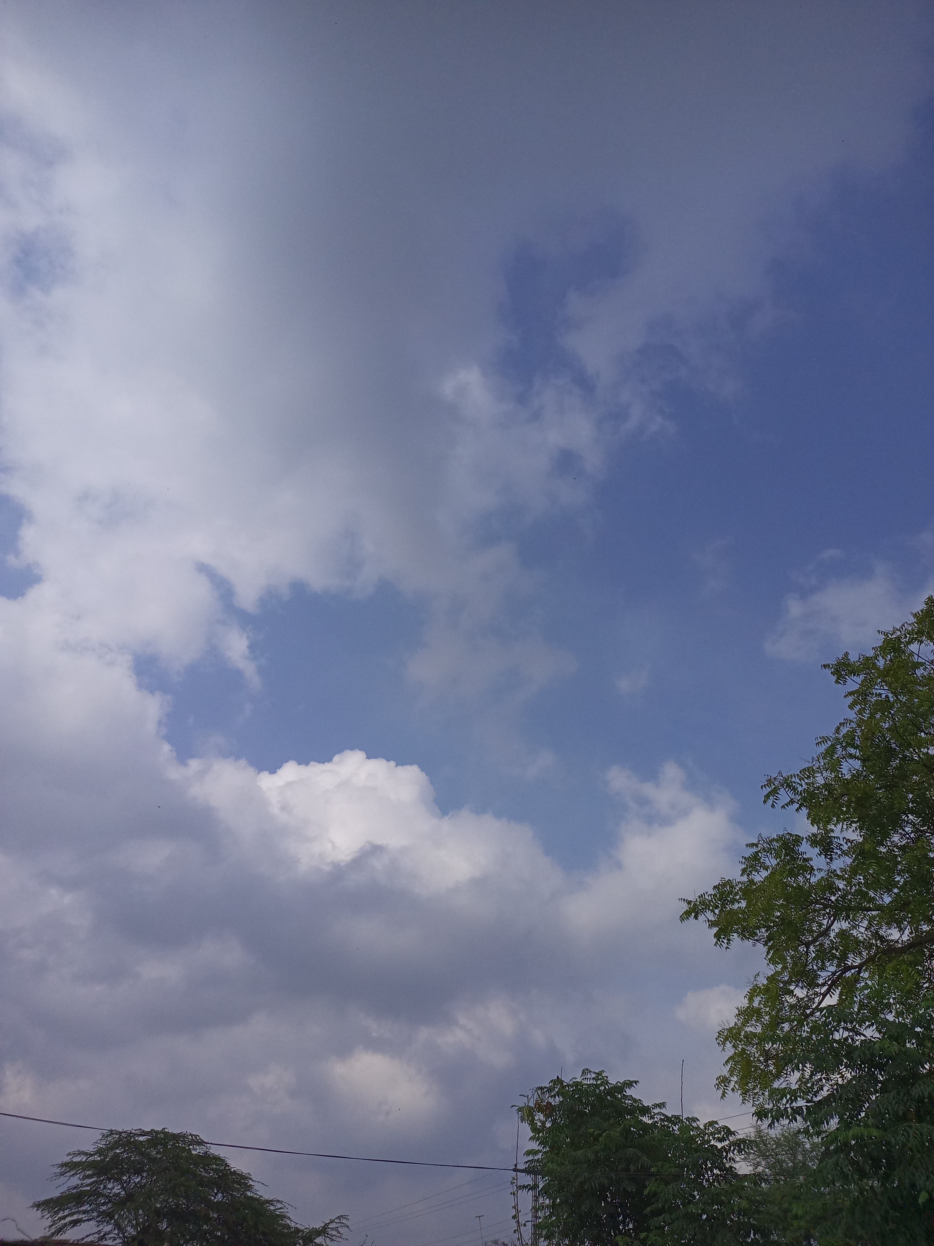 IMG_20260518_130050_536.jpg