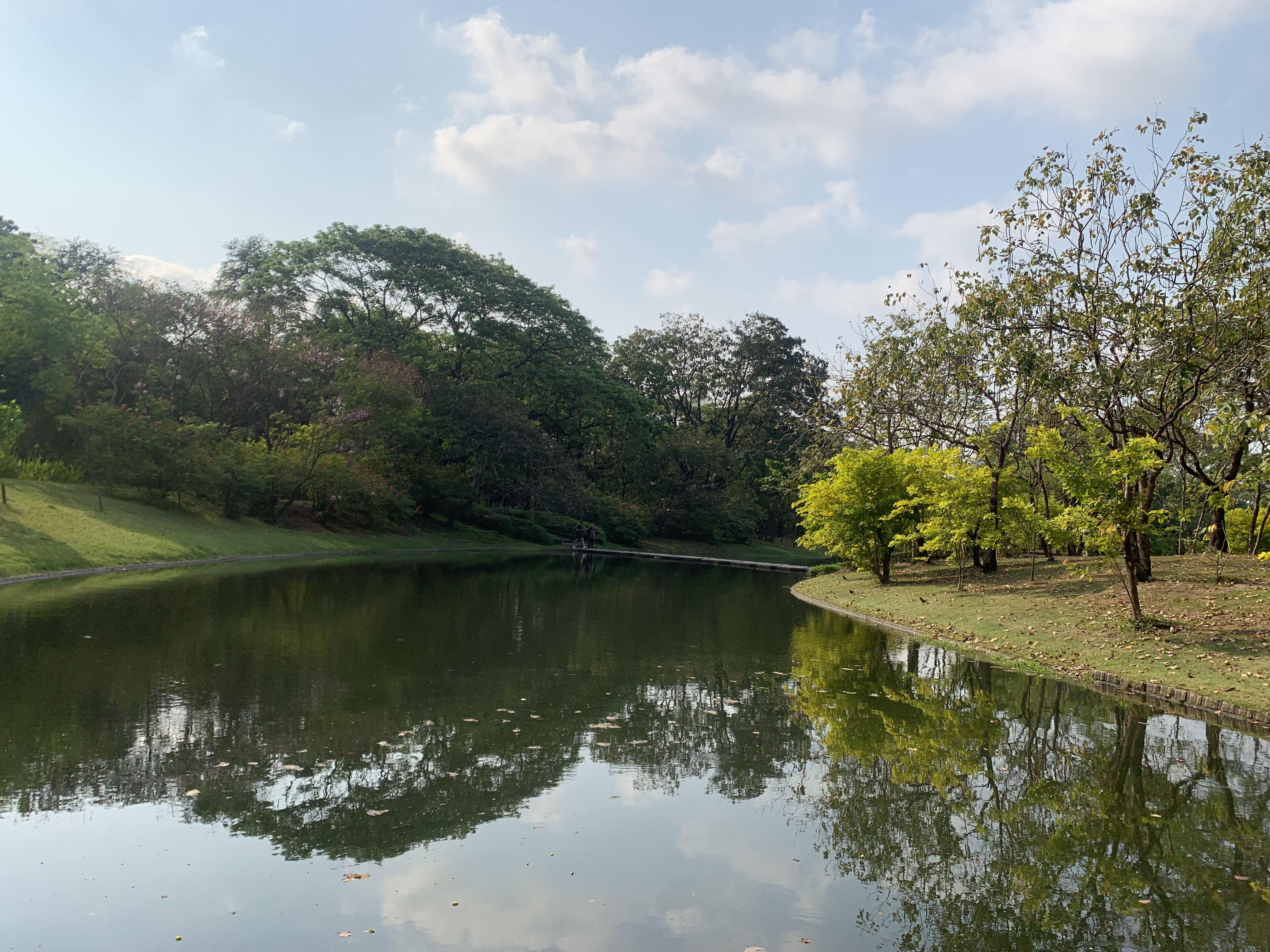 Queen Sirikit Park104.jpg