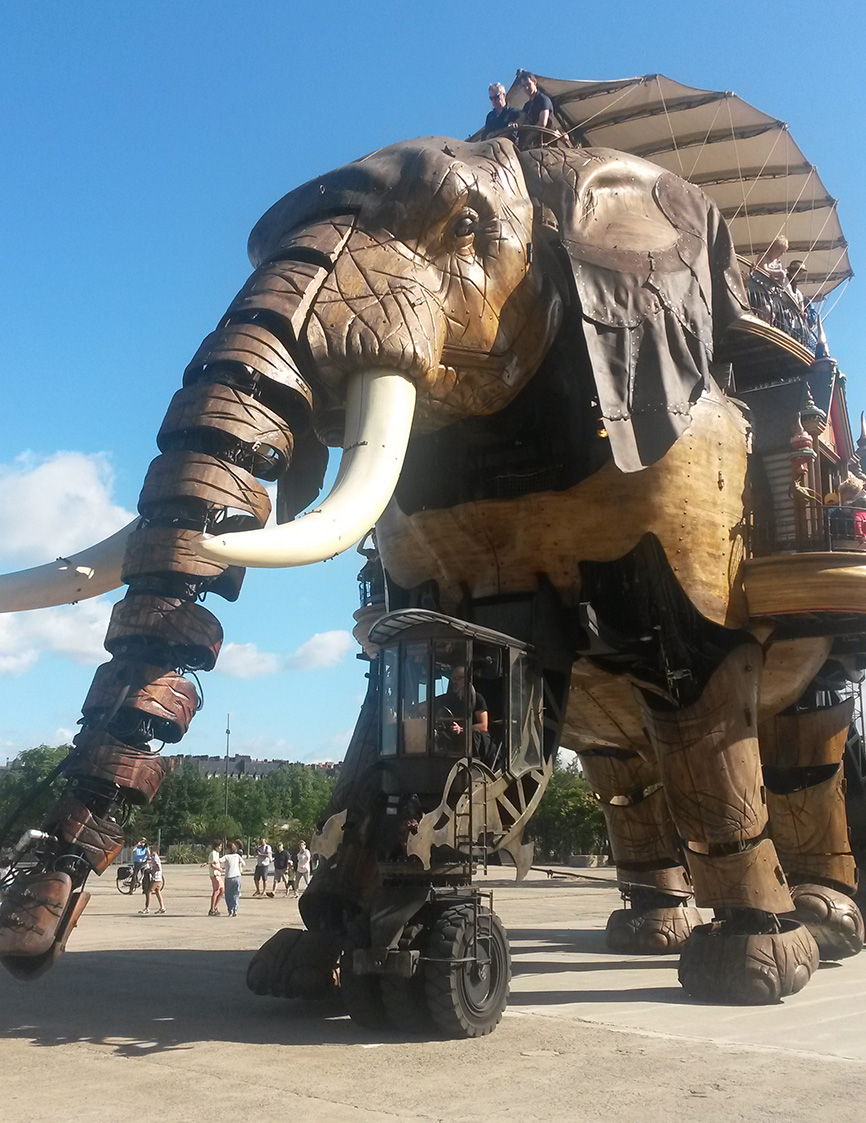 20150804_102929.jpg