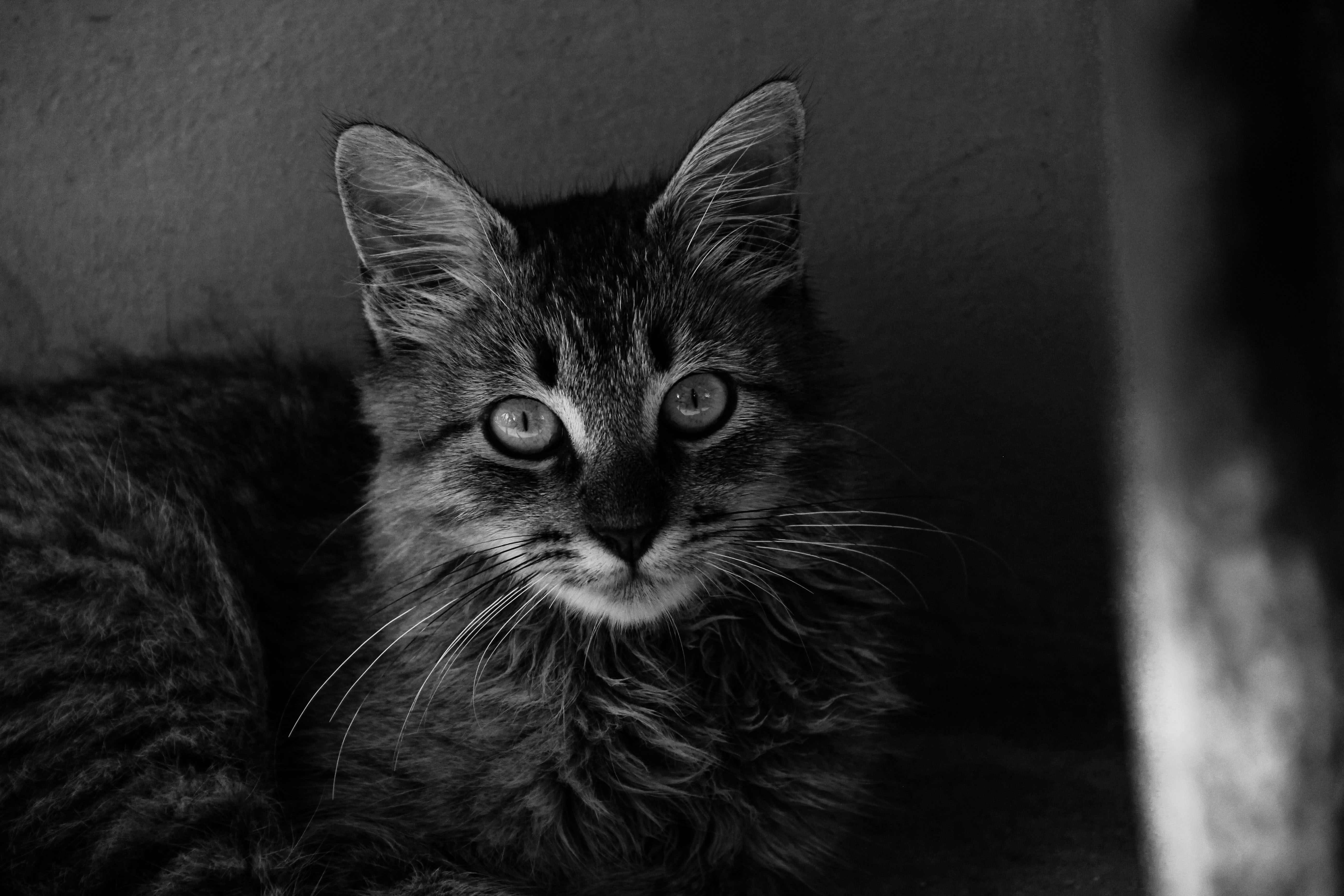 img_4822_20copia (1).jpg